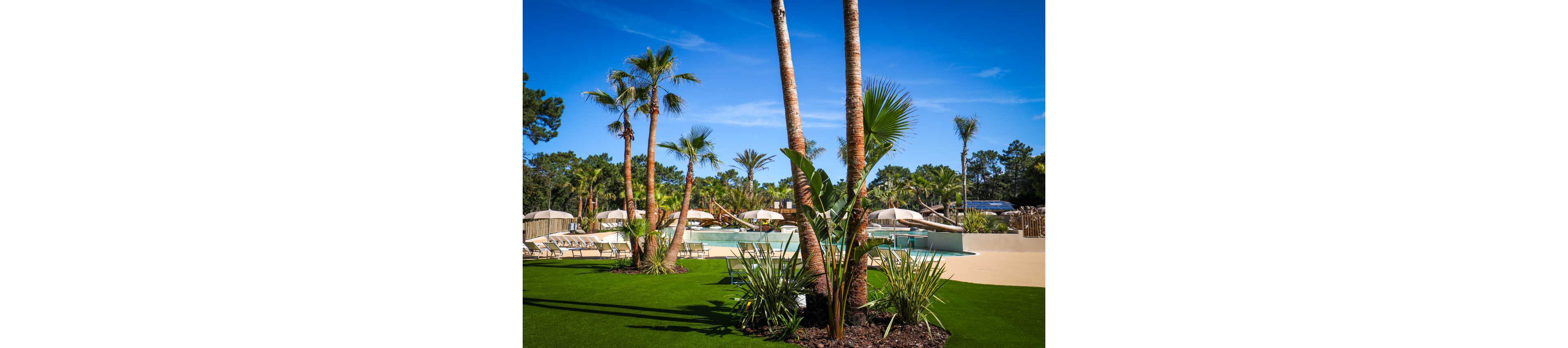 A sunny resort-style swimming pool is surrounded by tall palm trees and lush green landscaping. Lounge chairs with umbrellas line the poolside, suggesting a relaxing vacation setting. The sky is clear and bright blue, enhancing the tropical atmosphere. No people are visible, emphasizing the tranquil and inviting outdoor space.