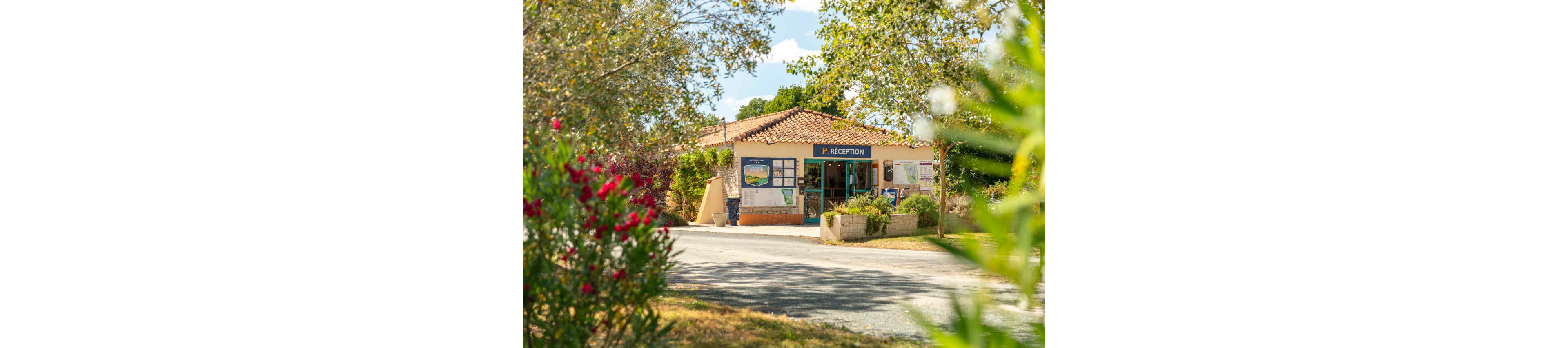 A small reception building stands at the end of a paved driveway surrounded by lush greenery. The structure has a tiled roof and large windows, with various posters and signs displayed on its exterior walls. A blue sign reading "RECEPTION" is clearly visible above the entrance. Trees and flowering shrubs frame the scene, creating a welcoming, holiday atmosphere under a bright sky.