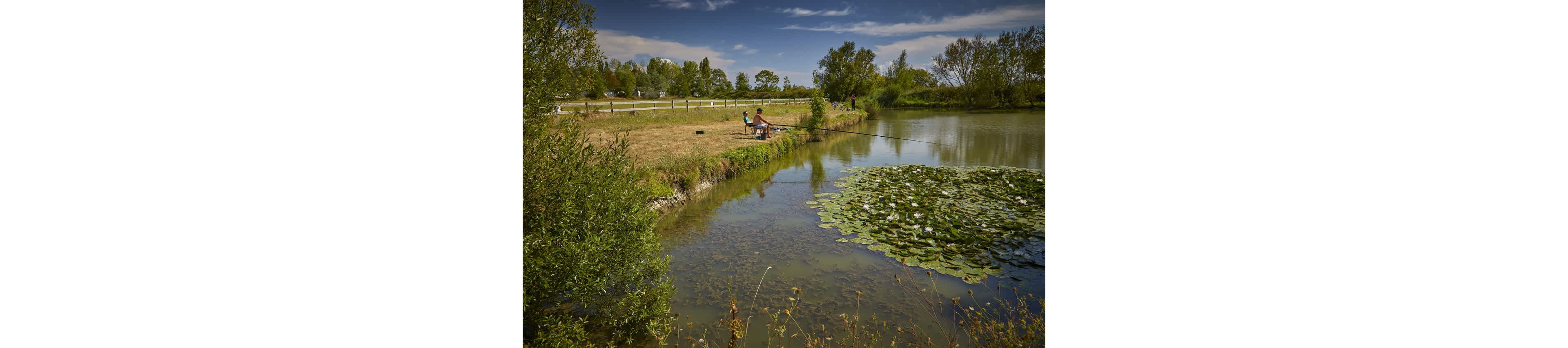 A small group of people sit on chairs fishing beside a calm pond. The scene is set in a grassy area bordered by trees and a wooden fence near a country road. Water lilies cover part of the pond’s surface, reflecting the blue sky and scattered clouds. The overall atmosphere is peaceful and leisurely, suggesting a relaxed day outdoors.
