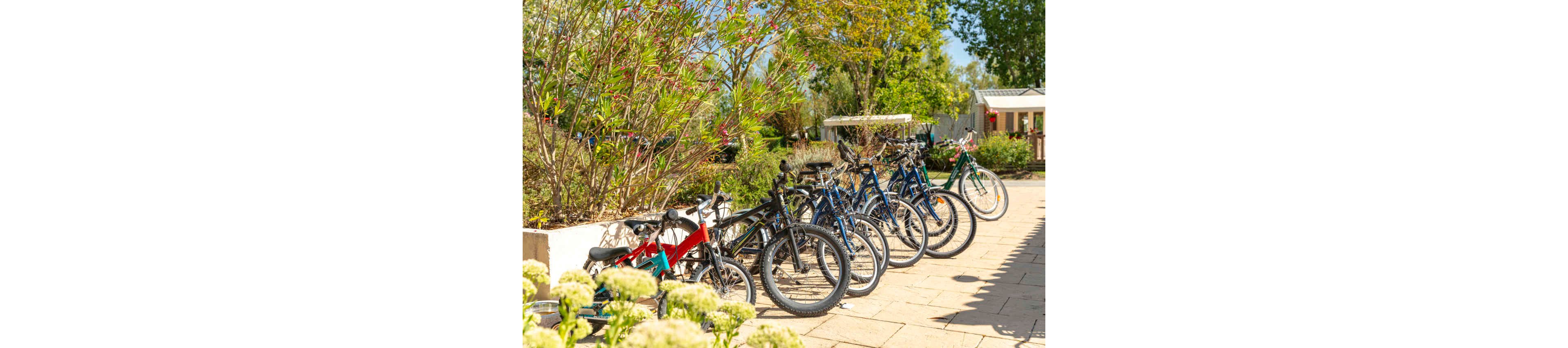 Several bicycles are parked in a neat row along a paved courtyard. The scene is outdoors on a bright, sunny day with lush green trees and shrubs surrounding the area. A building and garden structures are visible in the background, suggesting a residential or community setting. Warm sunlight and clear skies create a cheerful, relaxed atmosphere.