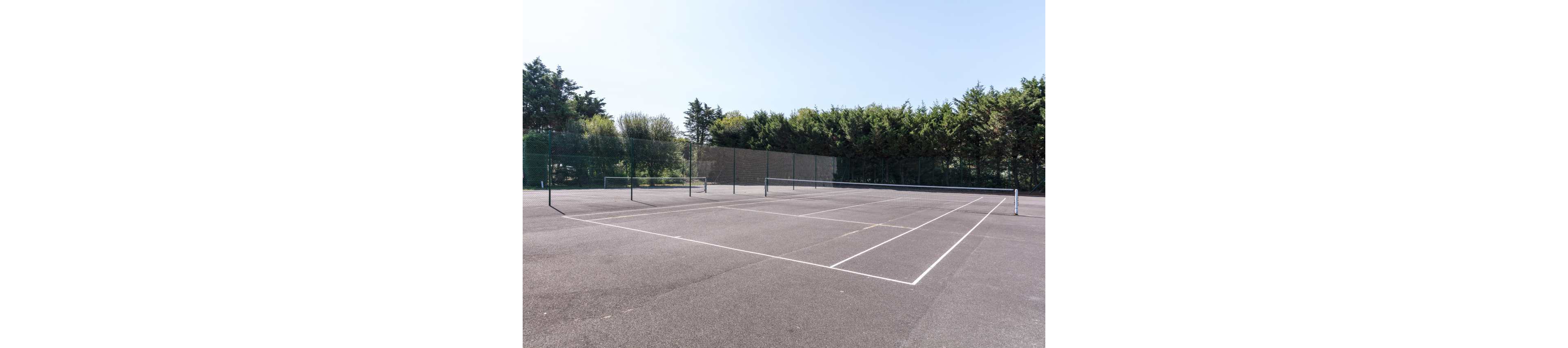 An empty set of outdoor tennis courts is shown under a clear, bright sky. The asphalt surface is marked with white boundary lines and divided by dark mesh nets. Tall green trees and shrubs form a natural backdrop around the courts. The scene feels quiet and open, suggesting a peaceful sports facility awaiting players.