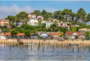 Cap Ferret