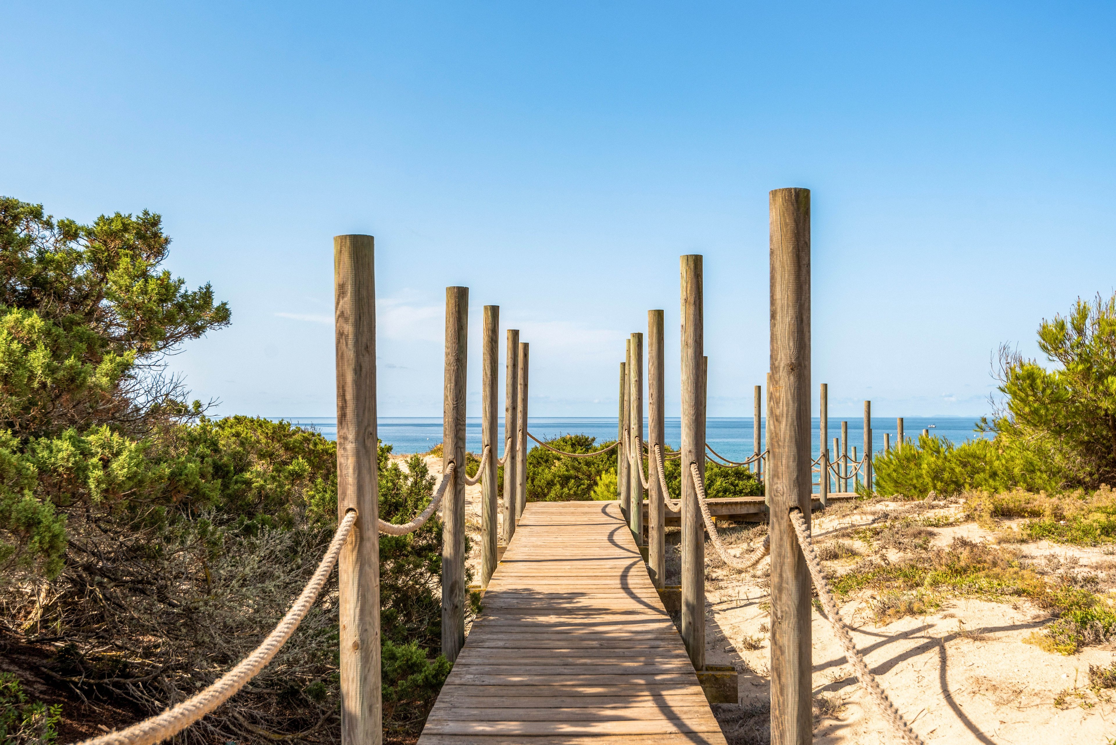 A wooden boardwalk with rope railings stretches through sandy dunes toward the ocean. The scene is set on a clear, sunny day with blue skies and lush green shrubs flanking the path. The tranquil setting evokes a relaxed, summery mood, with the sea visible in the distance. No people or visible text are present in the image.