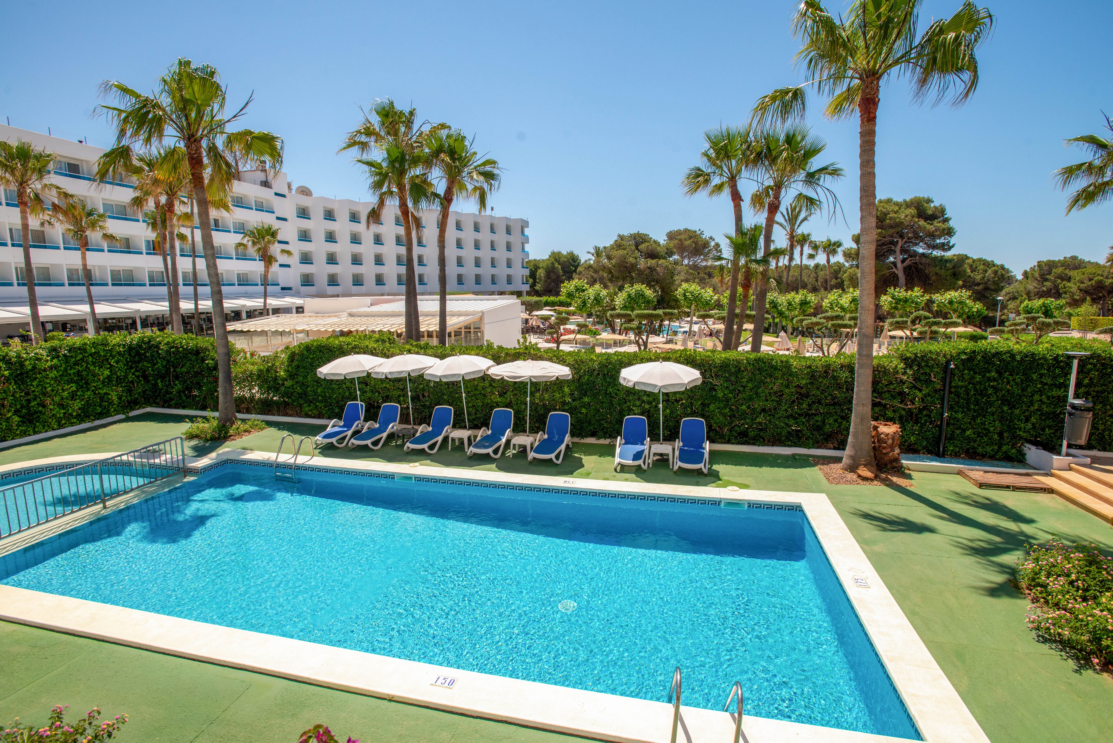 An outdoor swimming pool is surrounded by a green deck and tall palm trees on a bright sunny day. Blue sun loungers and white parasols line one side of the pool, facing a neatly trimmed hedge. In the background, a large white hotel building with balconies overlooks the pool area. The clear blue sky and sparkling water create a relaxed vacation atmosphere.