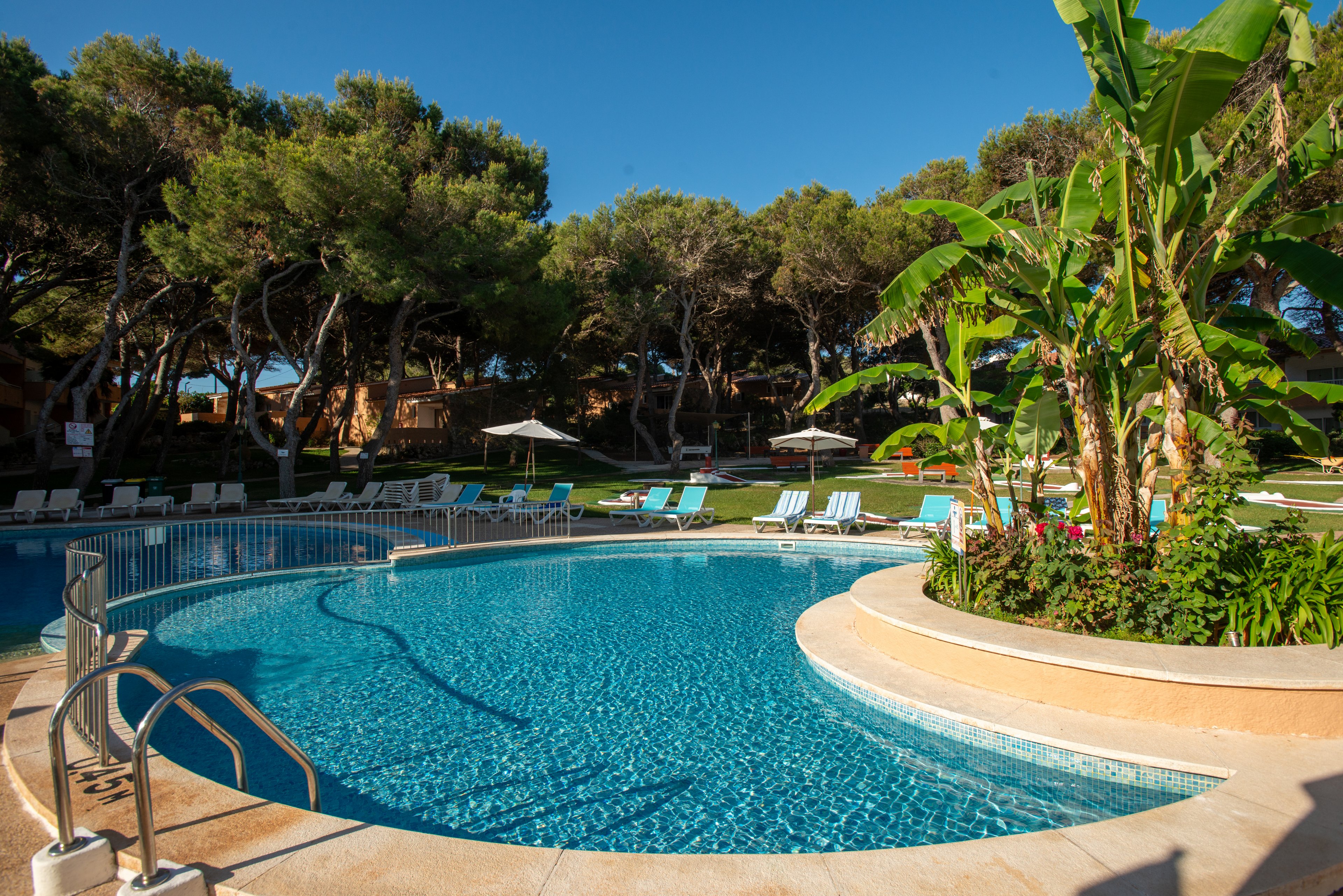 A curved outdoor swimming pool glistens under bright sunlight at a resort. Lounge chairs and umbrellas are arranged around the poolside, suggesting a relaxing vacation setting. Tall trees and lush tropical plants, including banana leaves, frame the area and provide natural shade. The clear blue sky enhances the tranquil, summery atmosphere of the scene.