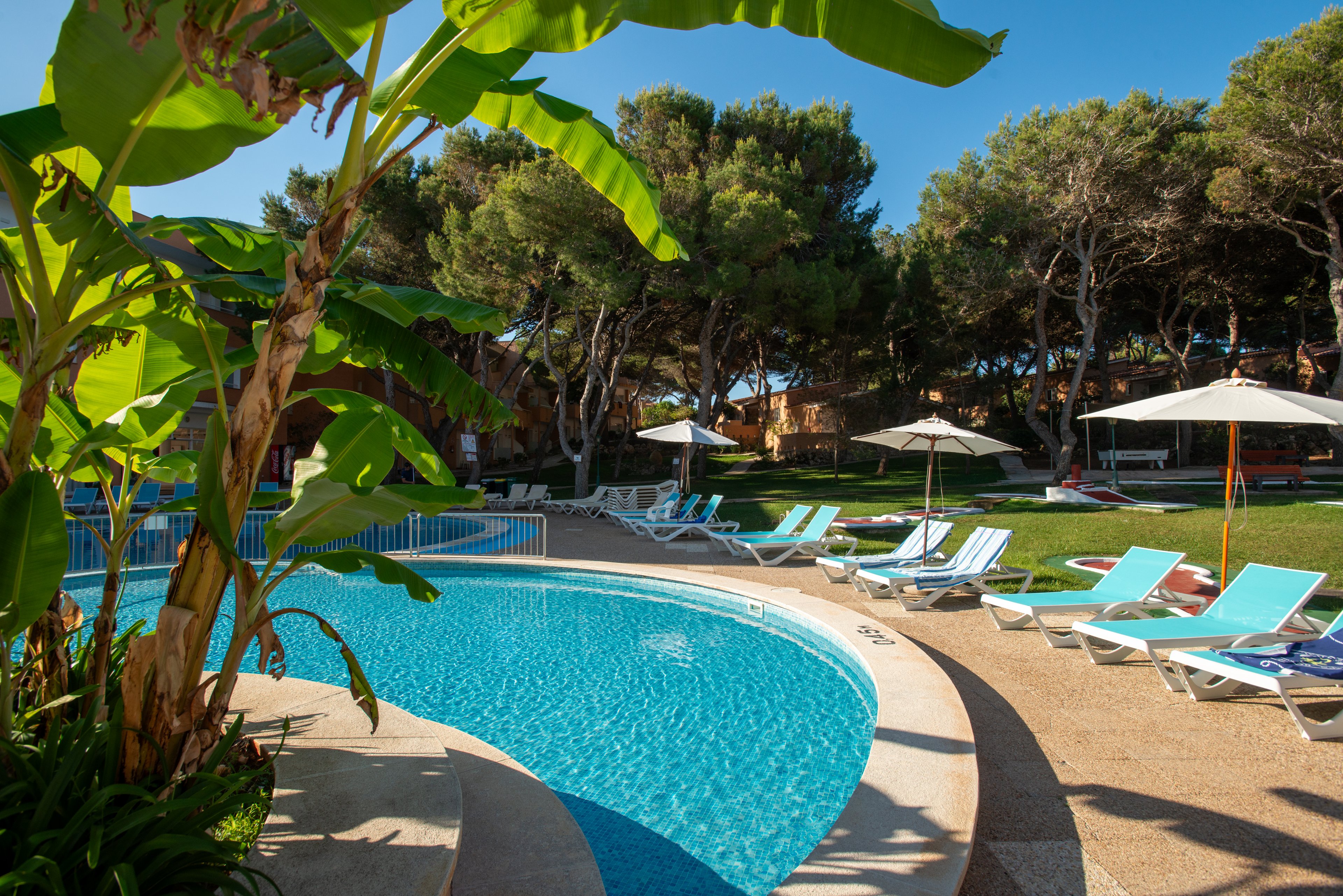 Outdoor swimming pool at a resort is surrounded by sun loungers and white umbrellas on a bright sunny day. Lush green trees and tropical plants frame the pool area, creating a relaxing vacation atmosphere. The curved pool edge and clear blue water stand out against the warm stone deck. No people are visible, emphasizing a tranquil and inviting leisure setting.