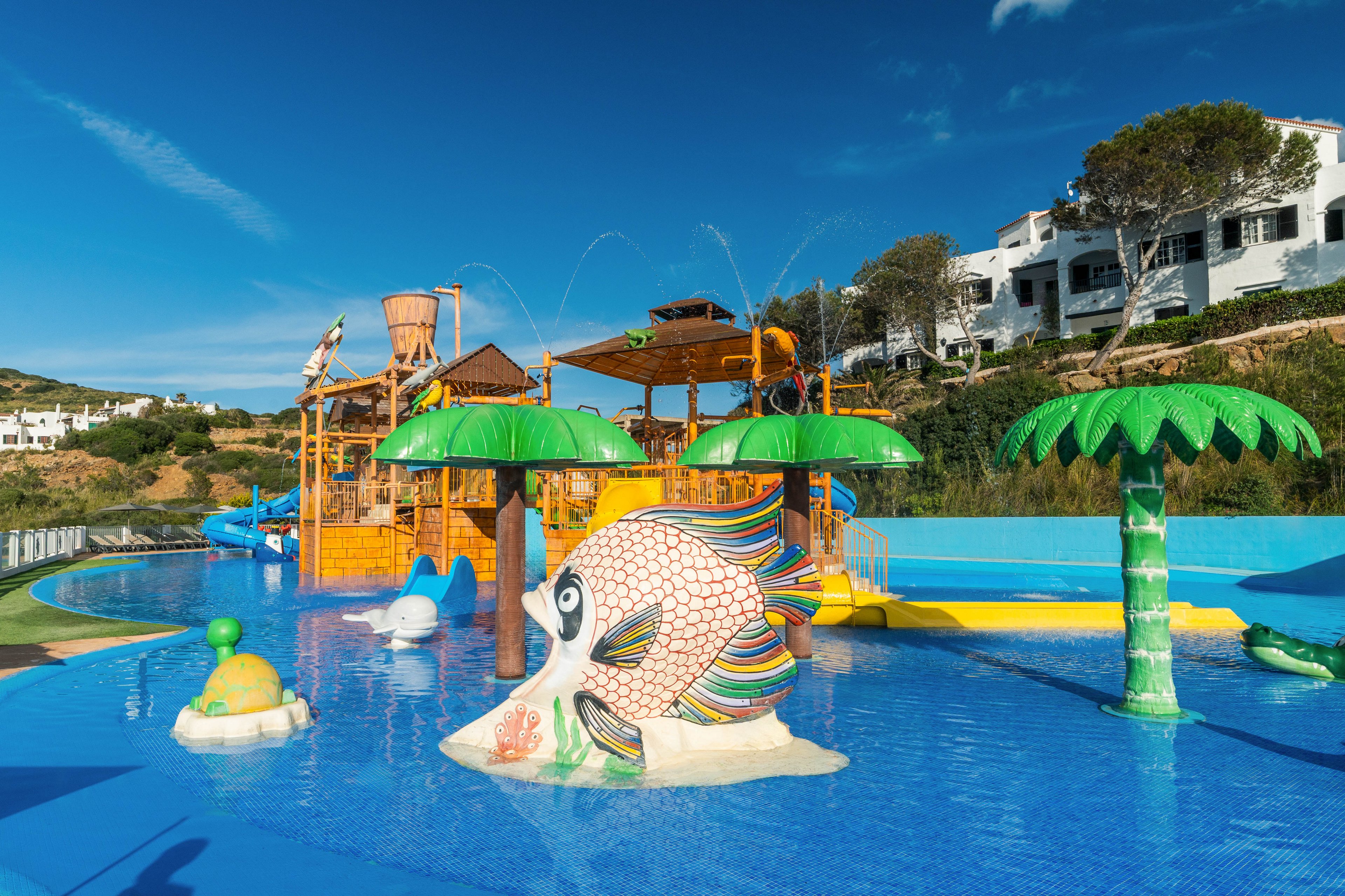 FERGUS Club Carema Splash