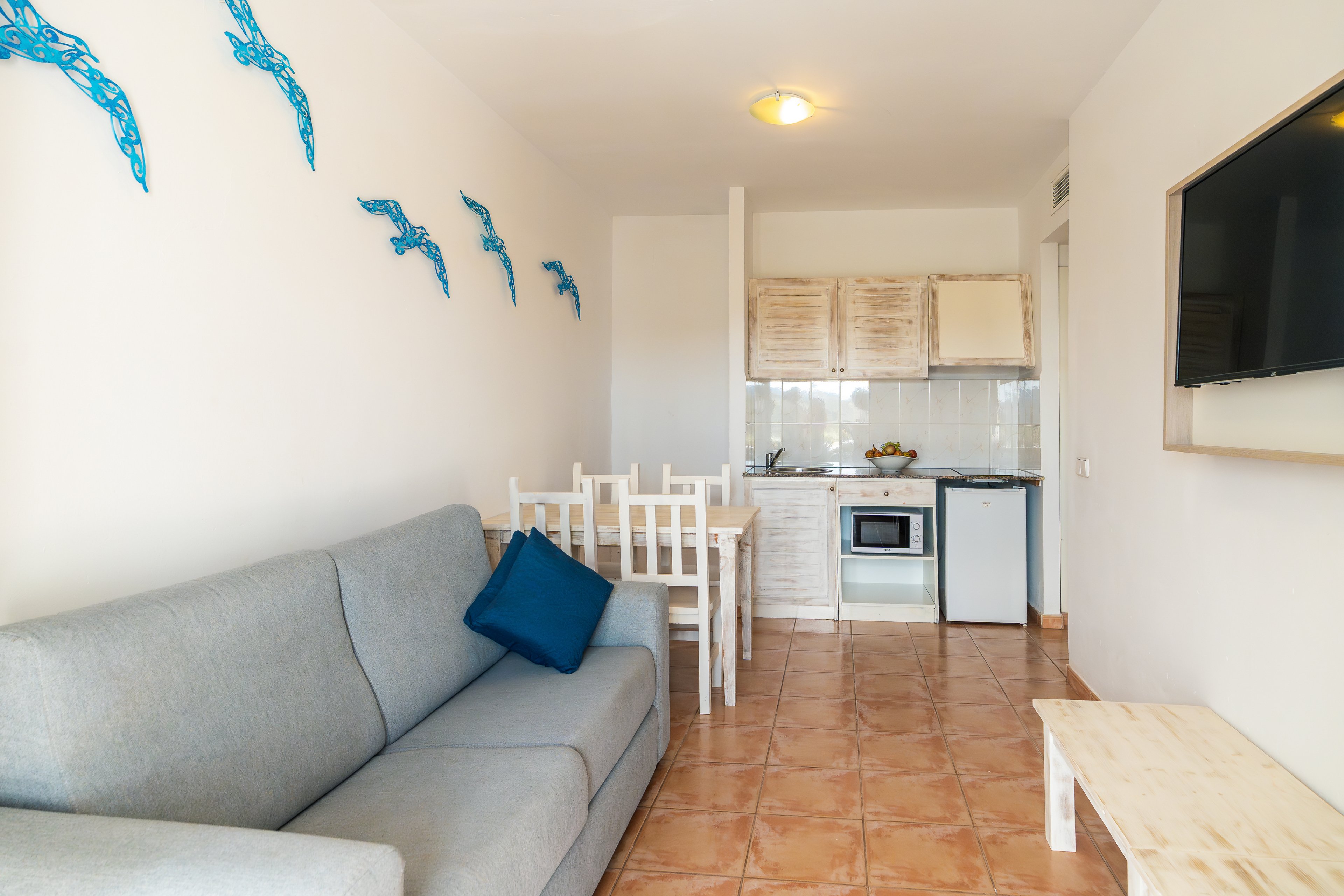 FERGUS Club Carema Splash