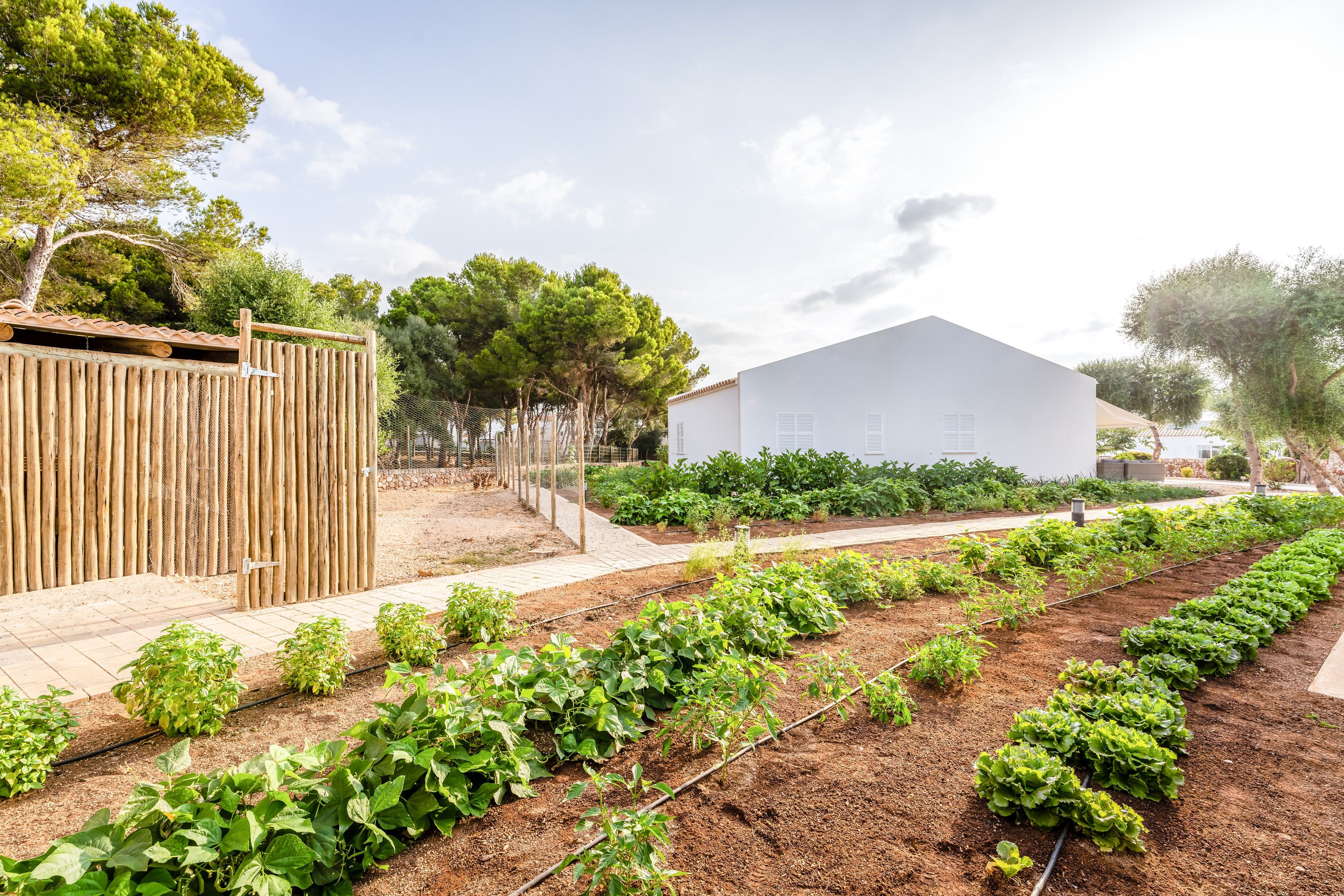 Villas & Bungalows Del Lago