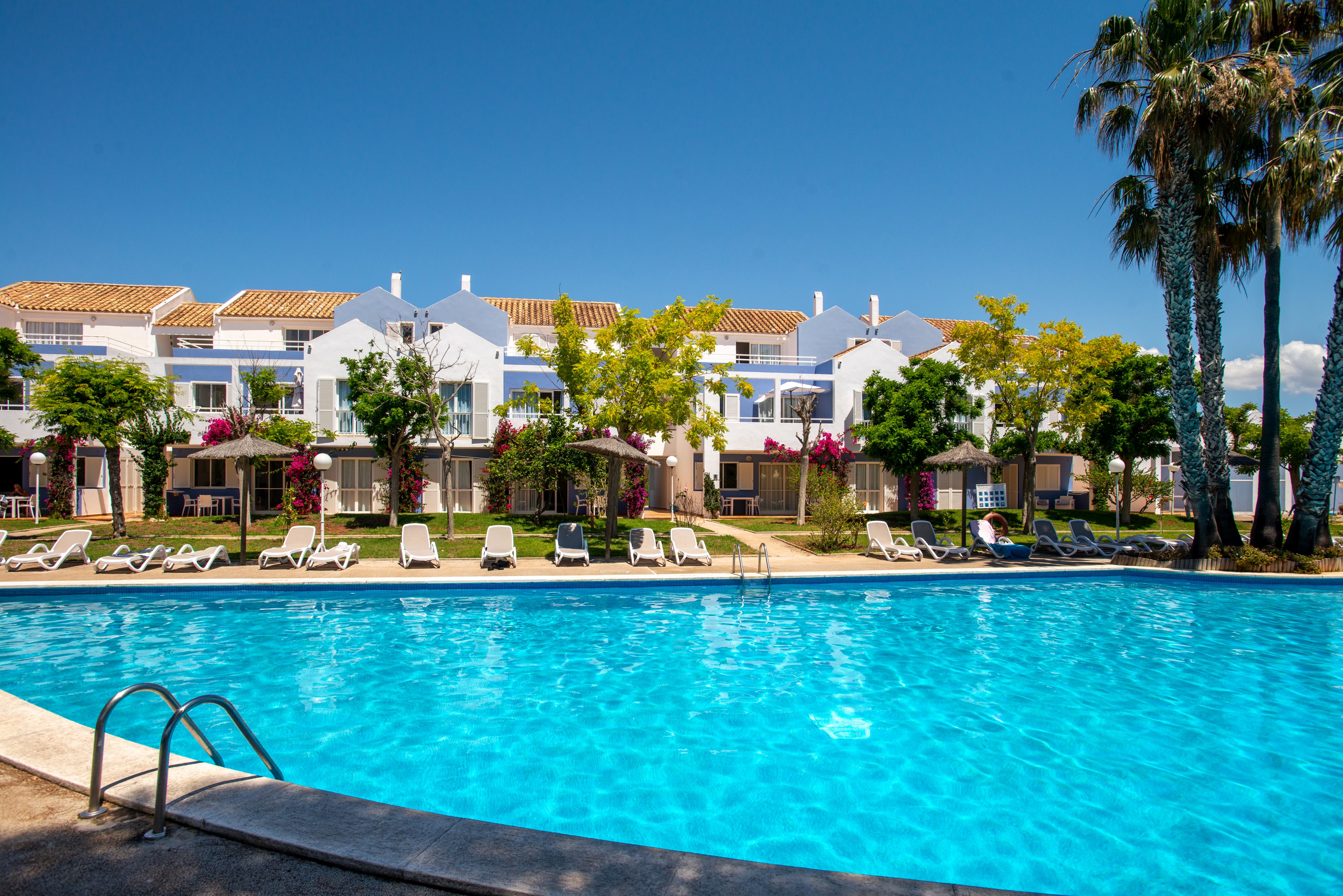 A large outdoor swimming pool glistens under a clear blue sky in front of white Mediterranean-style villas. Numerous sun loungers line the poolside, suggesting a relaxing holiday setting. Green trees, flowering shrubs, and tall palm trees add vibrant color and shade around the area. The scene conveys a warm, tranquil vacation atmosphere at a resort or apartment complex.