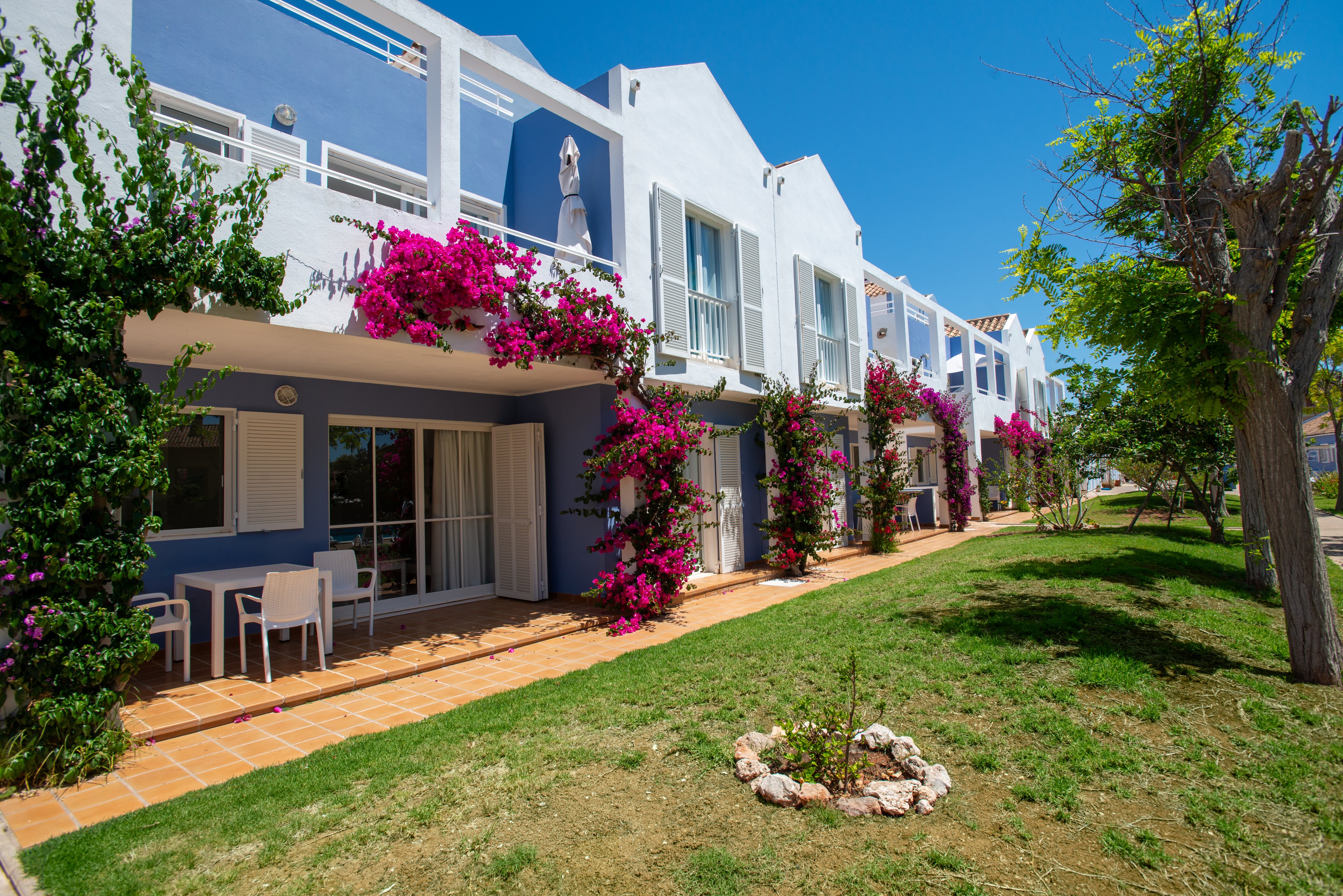 Row of modern Mediterranean-style apartments with white and blue facades is shown under a clear sunny sky. Each unit features balconies and ground-floor terraces furnished with white outdoor tables and chairs. Vibrant pink bougainvillea climbs the walls and columns, adding color against the tiled patio walkways. A green lawn with small trees and a circular flower bed stretches along the front of the building, creating a relaxed holiday atmosphere.