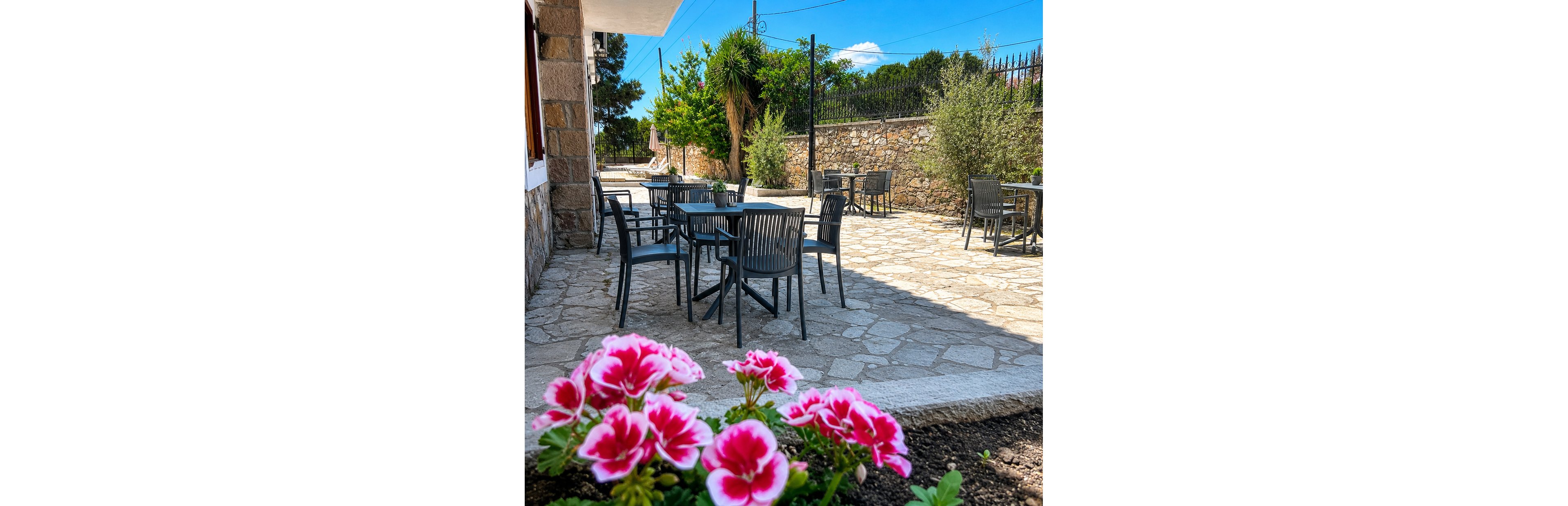 An outdoor patio with several empty black chairs and tables sits under a bright blue sky. The stone-paved terrace is bordered by a low stone wall and metal fence, with trees and shrubs providing greenery. In the foreground, vibrant pink and white flowers are in sharp focus, adding color to the scene. The overall atmosphere is calm and inviting, suggesting a quiet café or garden seating area.