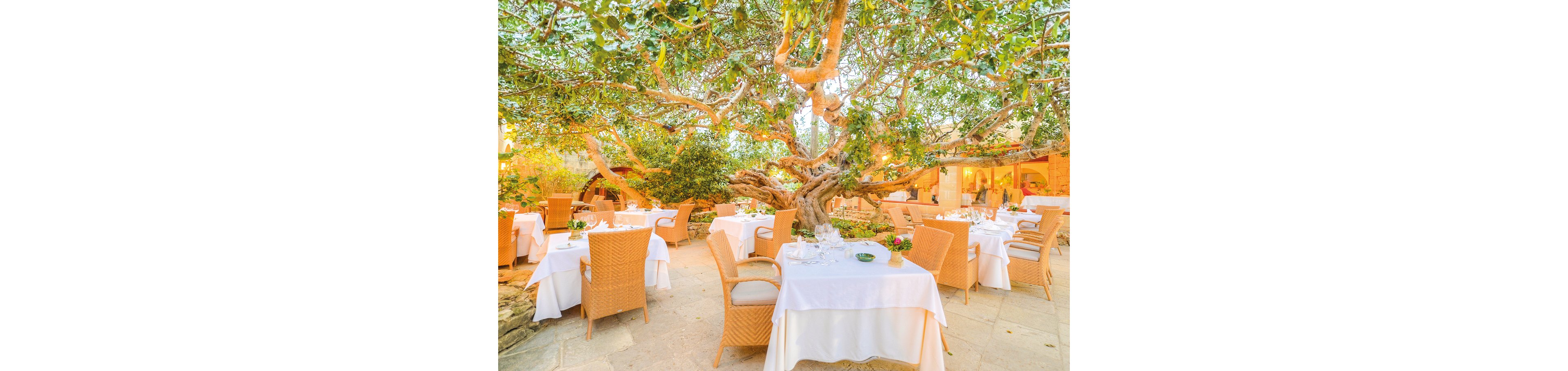 Hotel Ta 'Cenc & Spa Gozo