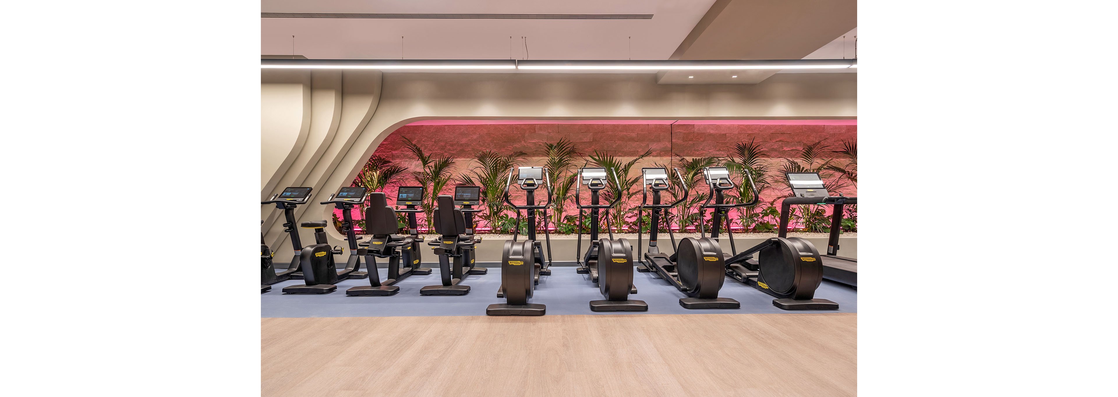 A contemporary fitness center features a row of cardio machines including treadmills, stationary bikes, and ellipticals. The equipment is neatly aligned on a blue floor within a spacious, well-lit interior. A decorative wall with plants and pink accent lighting adds a stylish, upscale atmosphere. The scene is empty of people, emphasizing the clean, organized workout space.