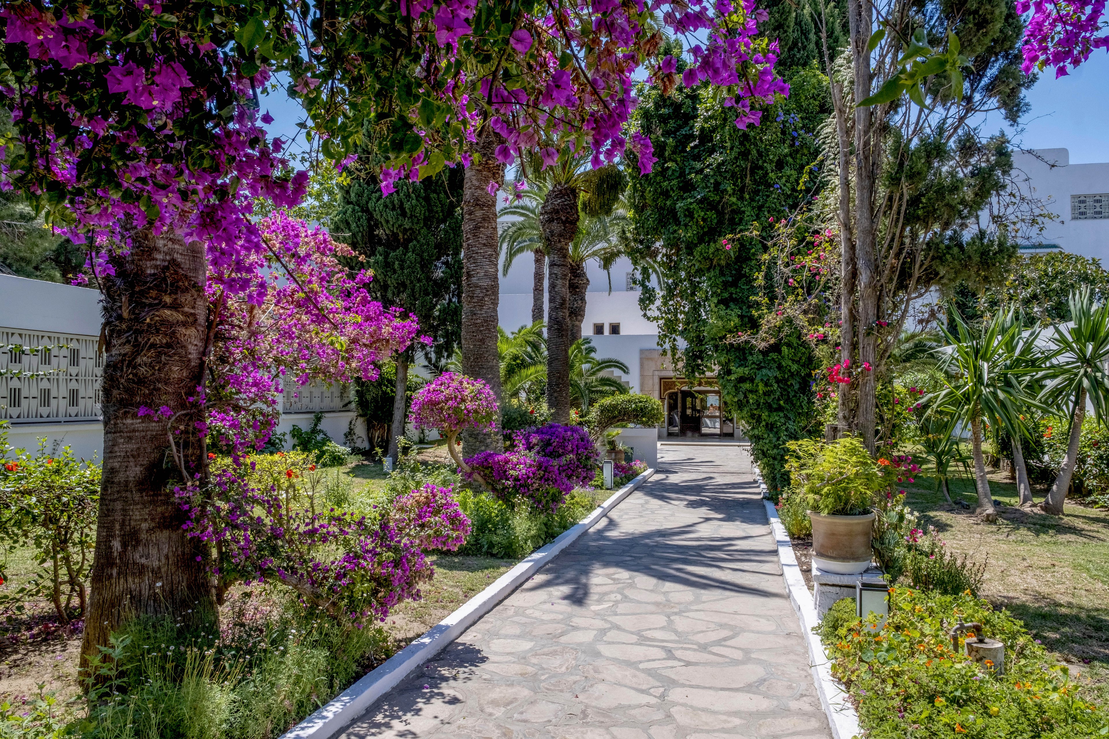 A stone pathway leads through a lush garden toward a white building in the background. Tall trees and vibrant purple flowering plants frame the walkway on both sides. Potted plants and trimmed shrubs add structure and color to the scene. Bright sunlight creates strong shadows, giving the setting a warm, inviting Mediterranean feel.