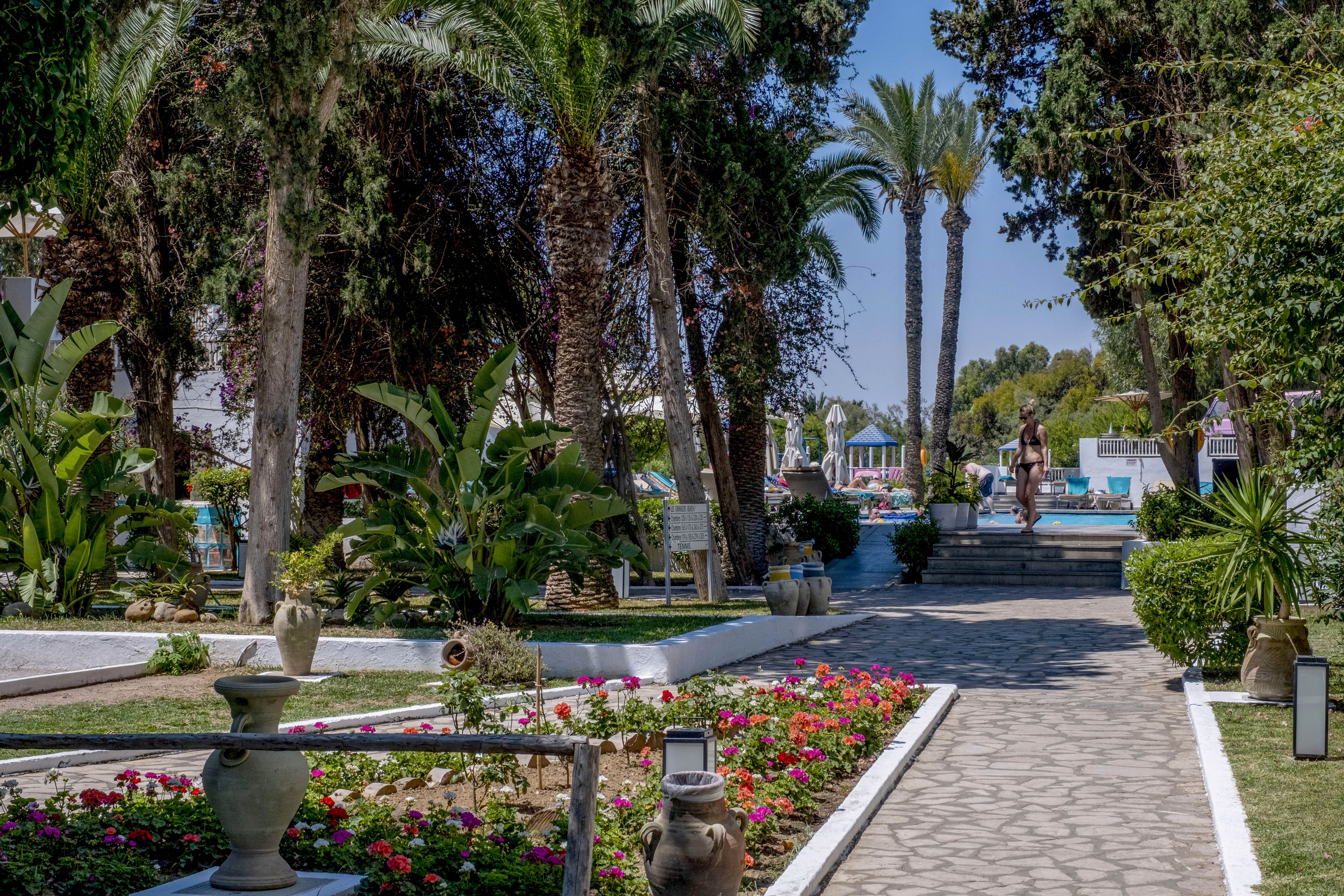A stone pathway runs through a lush garden filled with palm trees and flowering beds. Decorative pots and low white borders frame the walkway, guiding the eye toward a distant swimming pool area. In the background, people relax near the water under the bright midday sun. The overall scene suggests a tranquil resort or hotel courtyard in a warm climate.