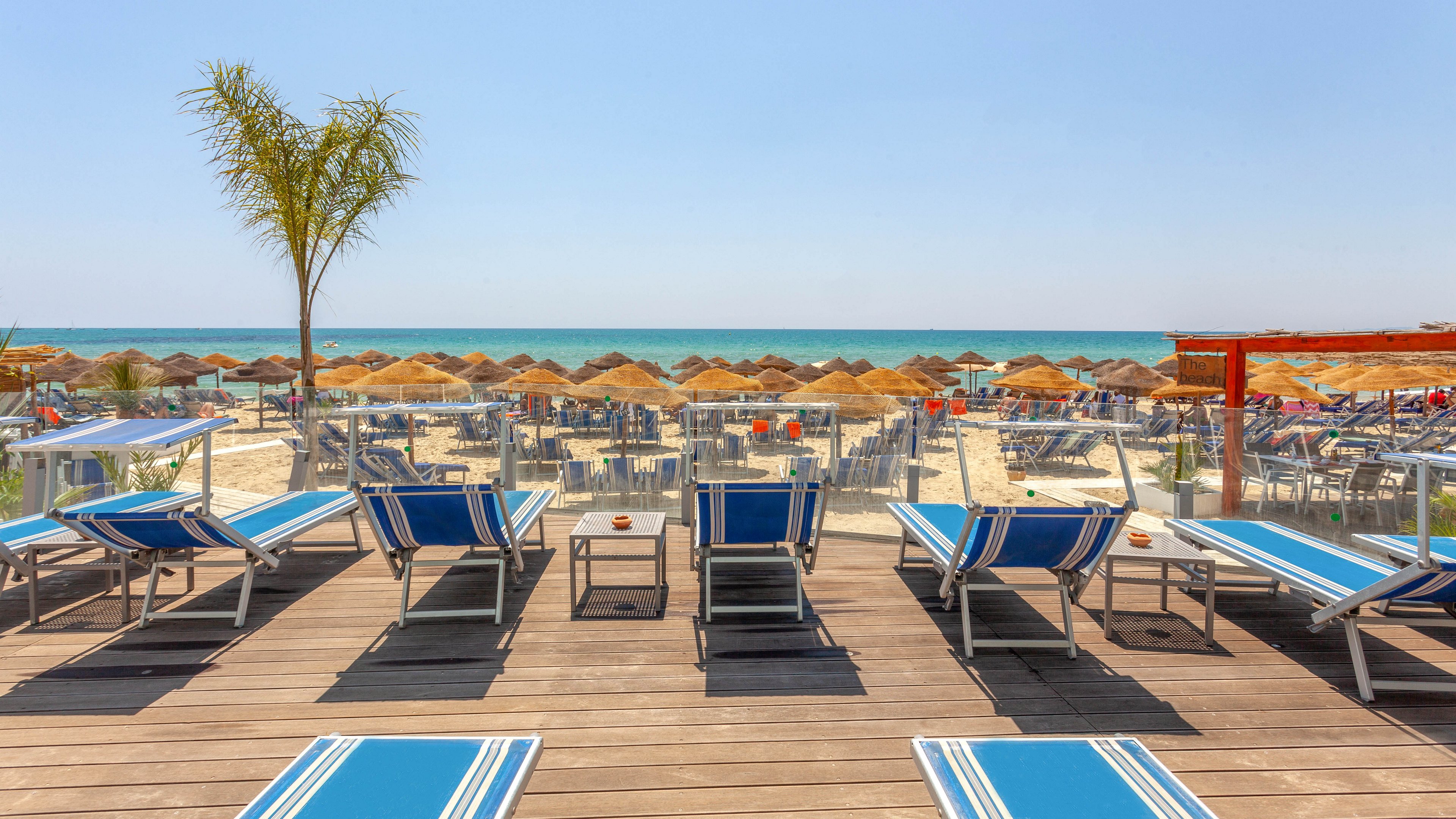 A row of blue striped lounge chairs sits on a wooden deck overlooking a busy sandy beach. Numerous sun umbrellas and additional chairs fill the shoreline near the calm turquoise water. The sky is clear and bright, suggesting a warm summer day. A single palm tree and glass railing frame the relaxed seaside resort atmosphere.