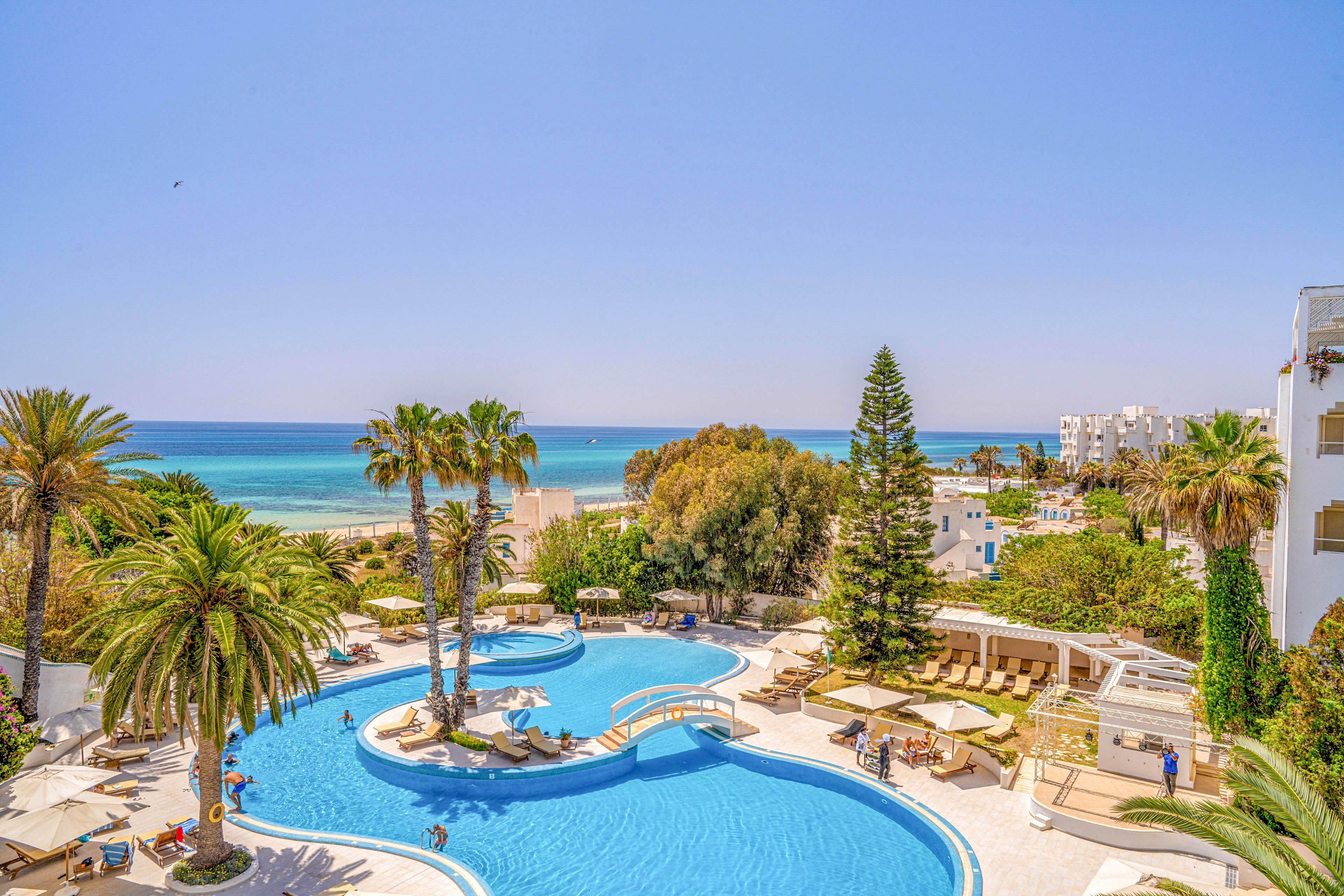 A large, curving outdoor swimming pool is surrounded by palm trees and sun loungers at a coastal resort. White buildings and terraces frame the pool area, creating a bright, Mediterranean-style setting. In the background, the turquoise sea meets a clear blue sky, emphasizing a relaxed vacation atmosphere. The scene suggests leisure, sunbathing, and swimming in a warm, sunny climate.