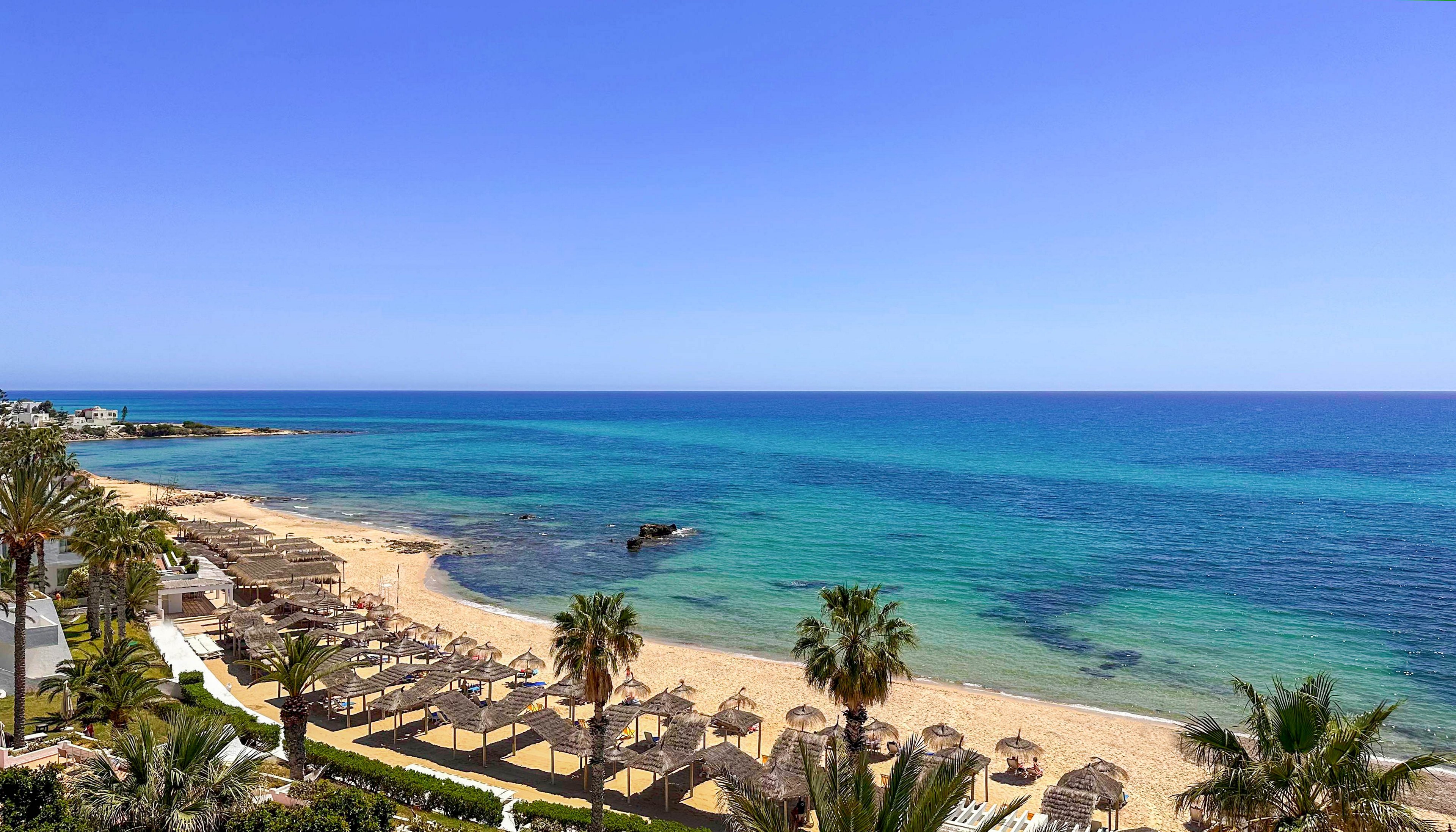 A sunny coastal resort features a wide sandy beach lined with rows of straw umbrellas and lounge chairs. The turquoise sea stretches to the horizon under a clear blue sky. Palm trees frame the foreground, adding a tropical feel to the scene. A few small structures and rocky outcrops appear near the shoreline, emphasizing the tranquil vacation atmosphere.