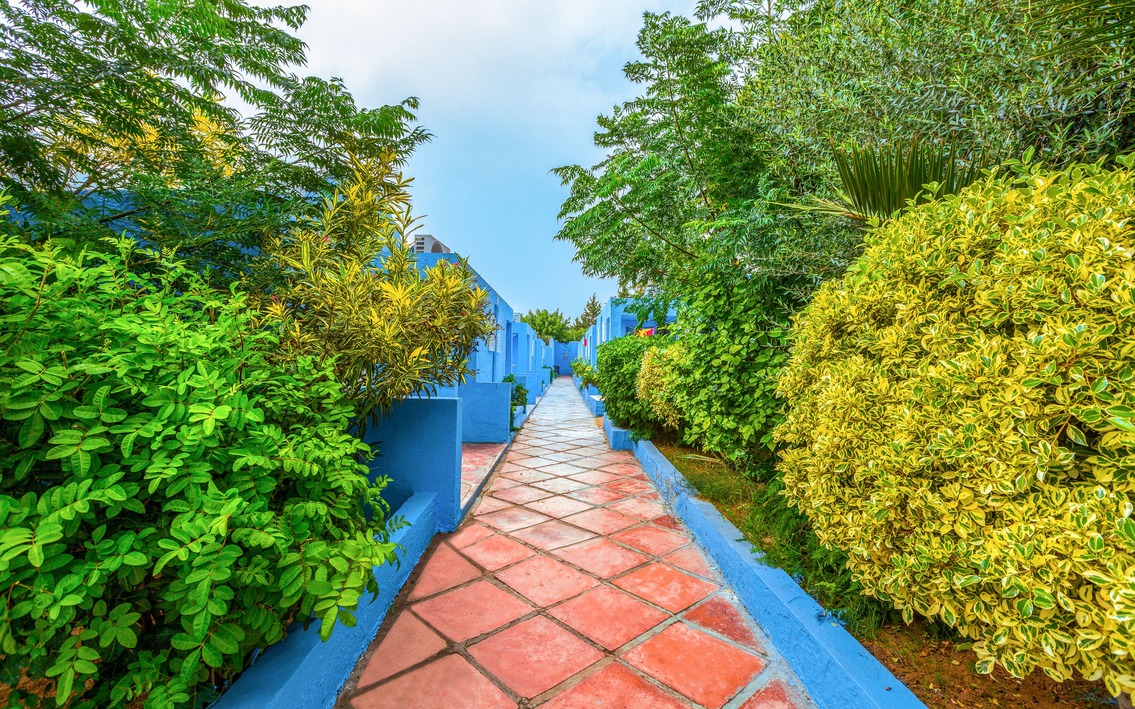 A narrow tiled walkway leads through a vibrant garden lined with dense shrubs and plants. Blue-painted walls and borders frame the path, contrasting with the warm terracotta tiles. Bright green and yellow foliage creates a lively, tropical atmosphere. The scene feels inviting and tranquil under a soft, partly cloudy sky.