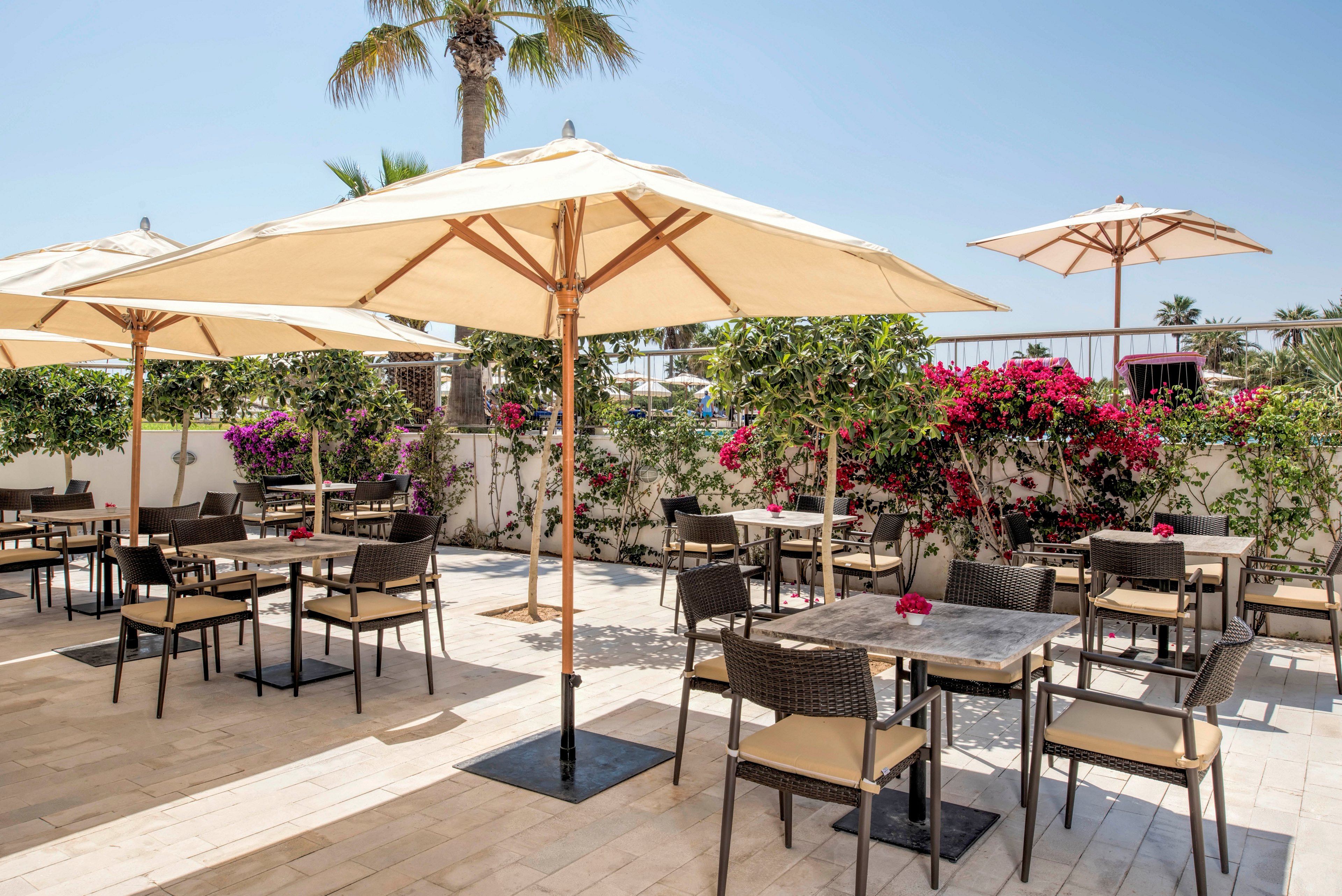 An outdoor cafe terrace features multiple tables and chairs arranged beneath large cream-colored umbrellas. The setting is bright and sunny, with clear blue skies overhead. Colorful flowering plants and green shrubs line the white wall surrounding the patio, adding a vibrant touch. The scene suggests a relaxed, inviting atmosphere for dining or socializing outside.