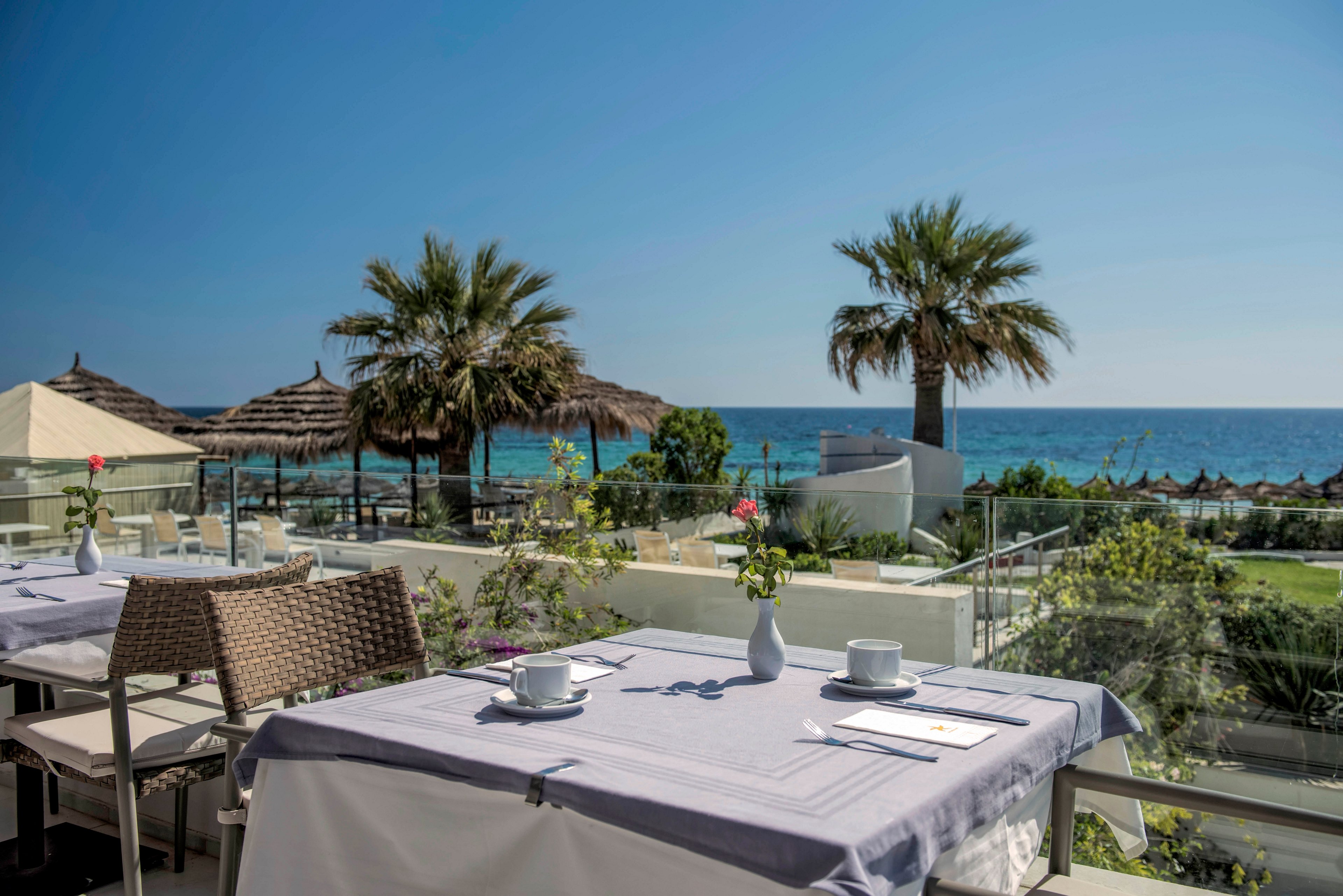 An outdoor restaurant terrace overlooks a bright blue ocean on a clear day. Tables are neatly set with white tablecloths, cups, saucers, and cutlery, ready for guests. Palm trees and thatched umbrellas line the beachfront below, adding a tropical feel. The scene conveys a calm, relaxed atmosphere ideal for coastal dining.