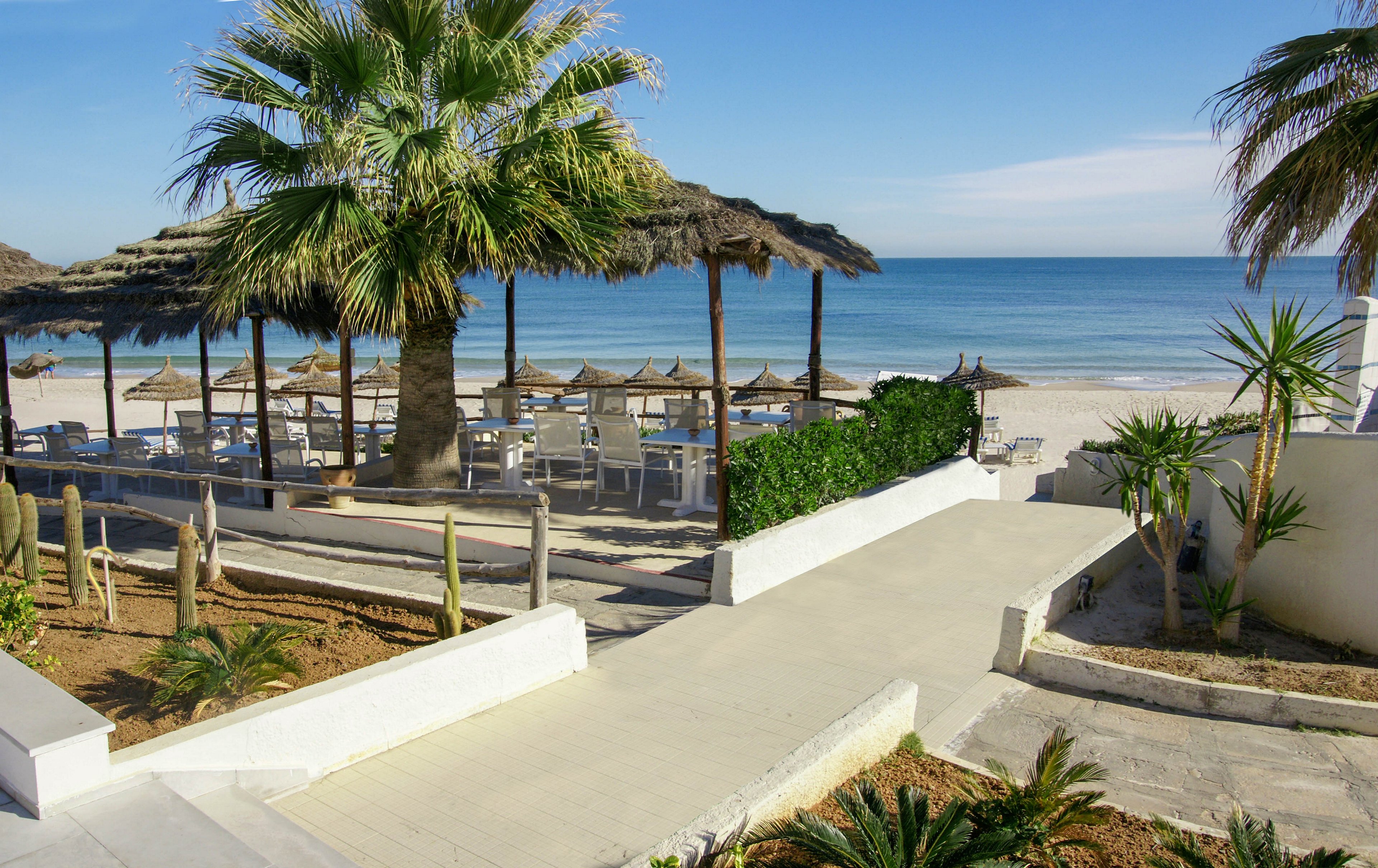 A sunny beachfront terrace overlooks a calm blue sea. Straw parasols and outdoor seating are arranged on the sand beneath a large palm tree. A paved walkway leads down between white walls and landscaped plants toward the beach area. The scene suggests a relaxed coastal resort atmosphere with clear skies and gentle waves.