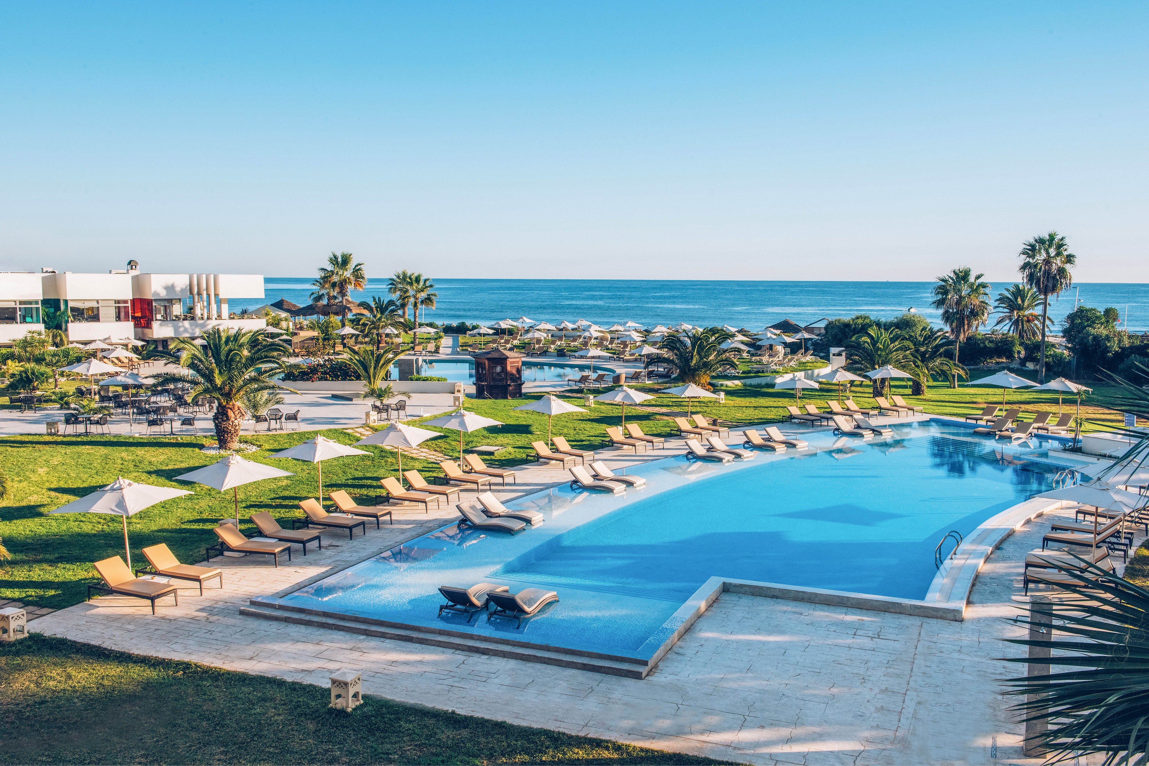 A large, curved swimming pool is surrounded by numerous sun loungers and white umbrellas at a coastal resort. Green lawns with palm trees extend toward the sandy beach and calm blue sea in the background. The sky is clear and bright, suggesting a warm, sunny day. Modern resort buildings sit near the shoreline, completing the tranquil vacation setting.