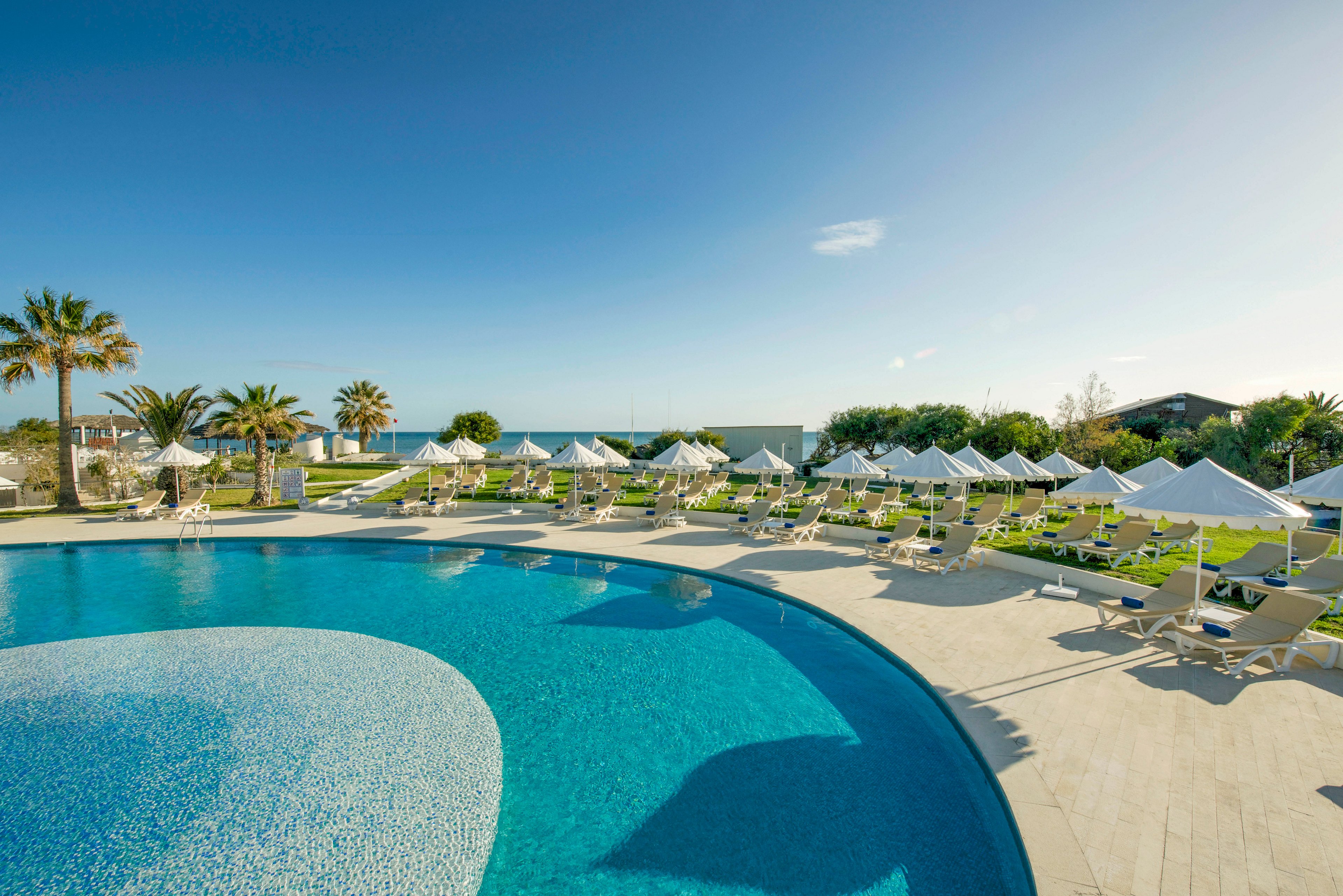 A large curved swimming pool glistens under a clear blue sky at a seaside resort. White sun loungers and matching umbrellas line the pool deck and adjacent green lawn. Palm trees and manicured shrubs frame the scene, with the ocean visible in the distance. The bright daylight and calm water create a relaxing vacation atmosphere.