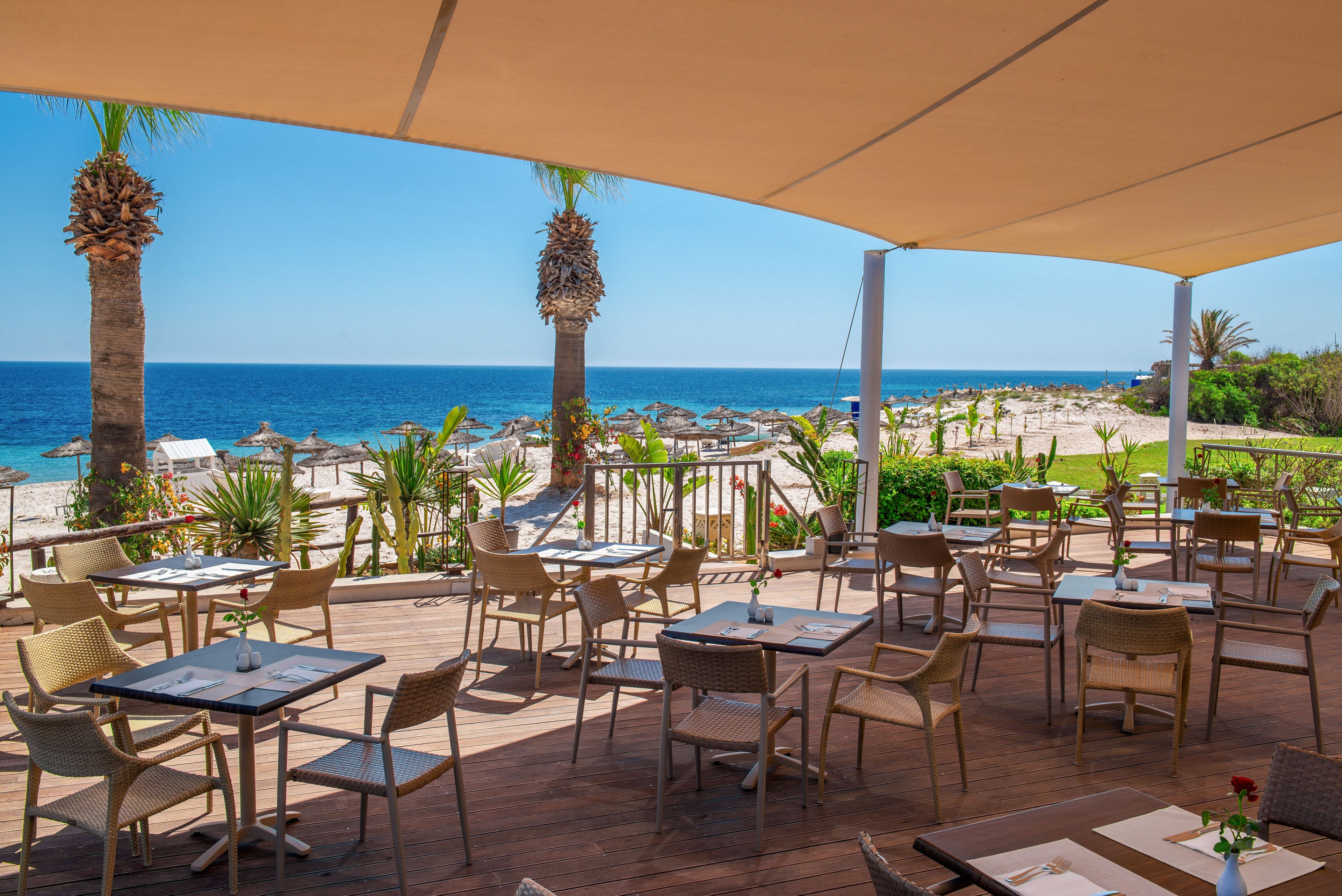 An open-air restaurant terrace overlooks a sandy beach and calm blue sea under a clear sky. Tables and chairs are neatly arranged on a wooden deck beneath large shade canopies. Palm trees and lush green plants frame the seating area, leading the eye toward sun loungers and umbrellas along the shoreline. The scene suggests a relaxed coastal dining experience in warm, sunny weather.