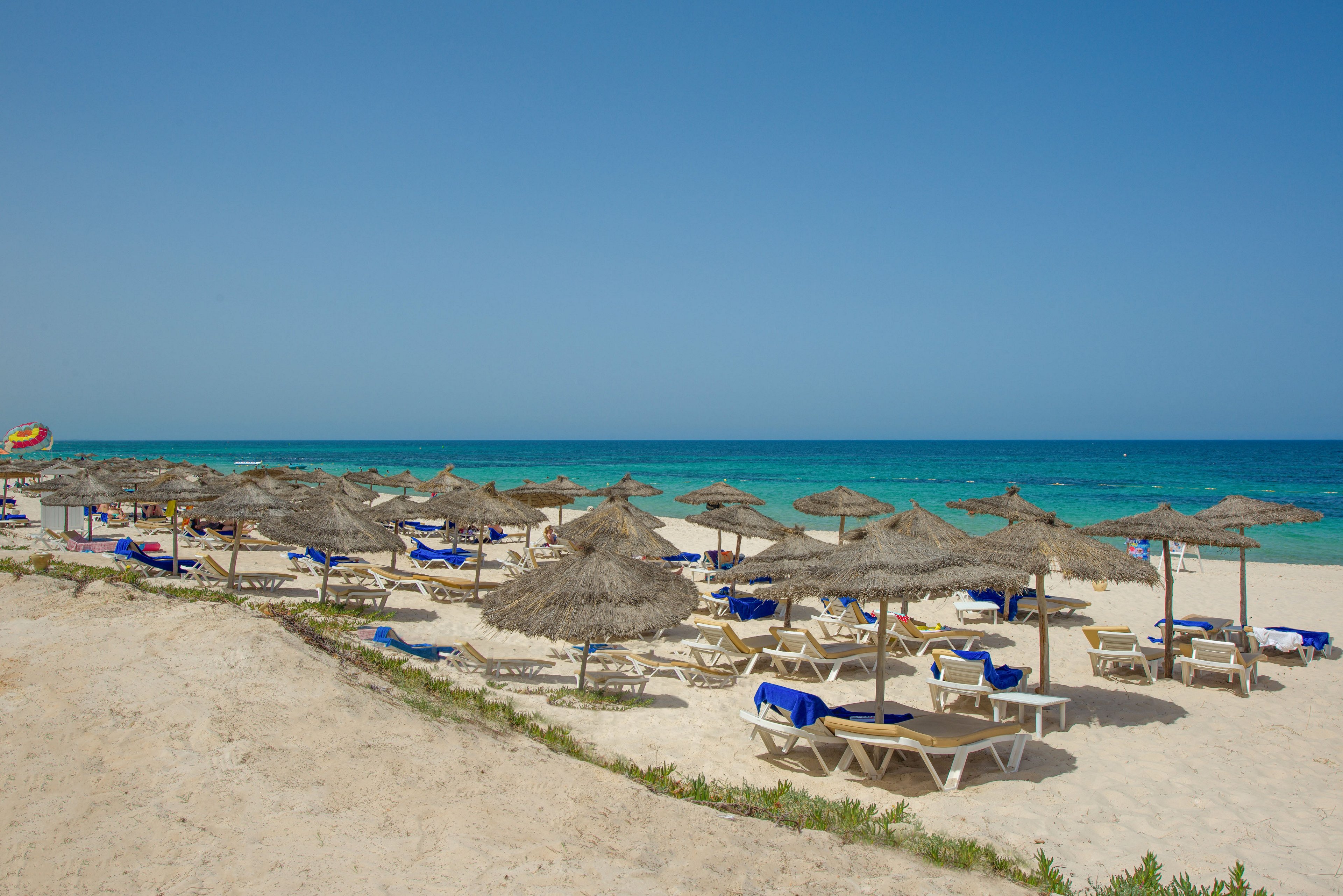 A sandy beach is lined with rows of sun loungers under thatched umbrellas facing a calm turquoise sea. Blue towels and cushions add color to the otherwise neutral sand and straw tones. The sky is clear and bright, suggesting a warm, sunny day ideal for relaxing by the water. In the distance, the shoreline curves gently, emphasizing the open, tranquil coastal setting.