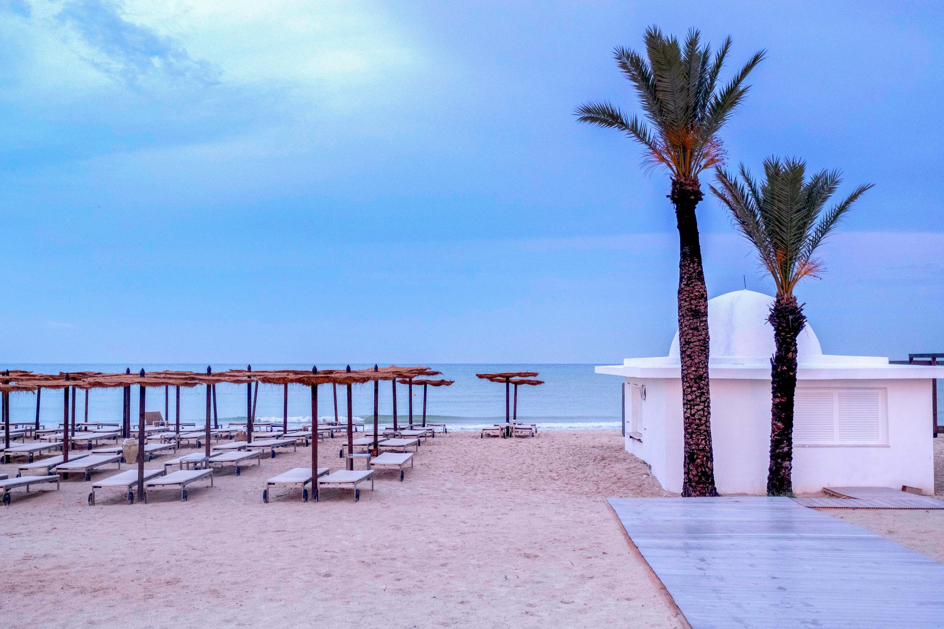 A quiet sandy beach is lined with empty sun loungers and straw parasols facing the calm sea. Two tall palm trees stand beside a small white seaside building, creating a focal point against the pastel sky. The scene appears serene and off-season, with no people present and soft evening light. A wooden walkway leads from the foreground toward the shoreline, emphasizing the tranquil coastal setting.