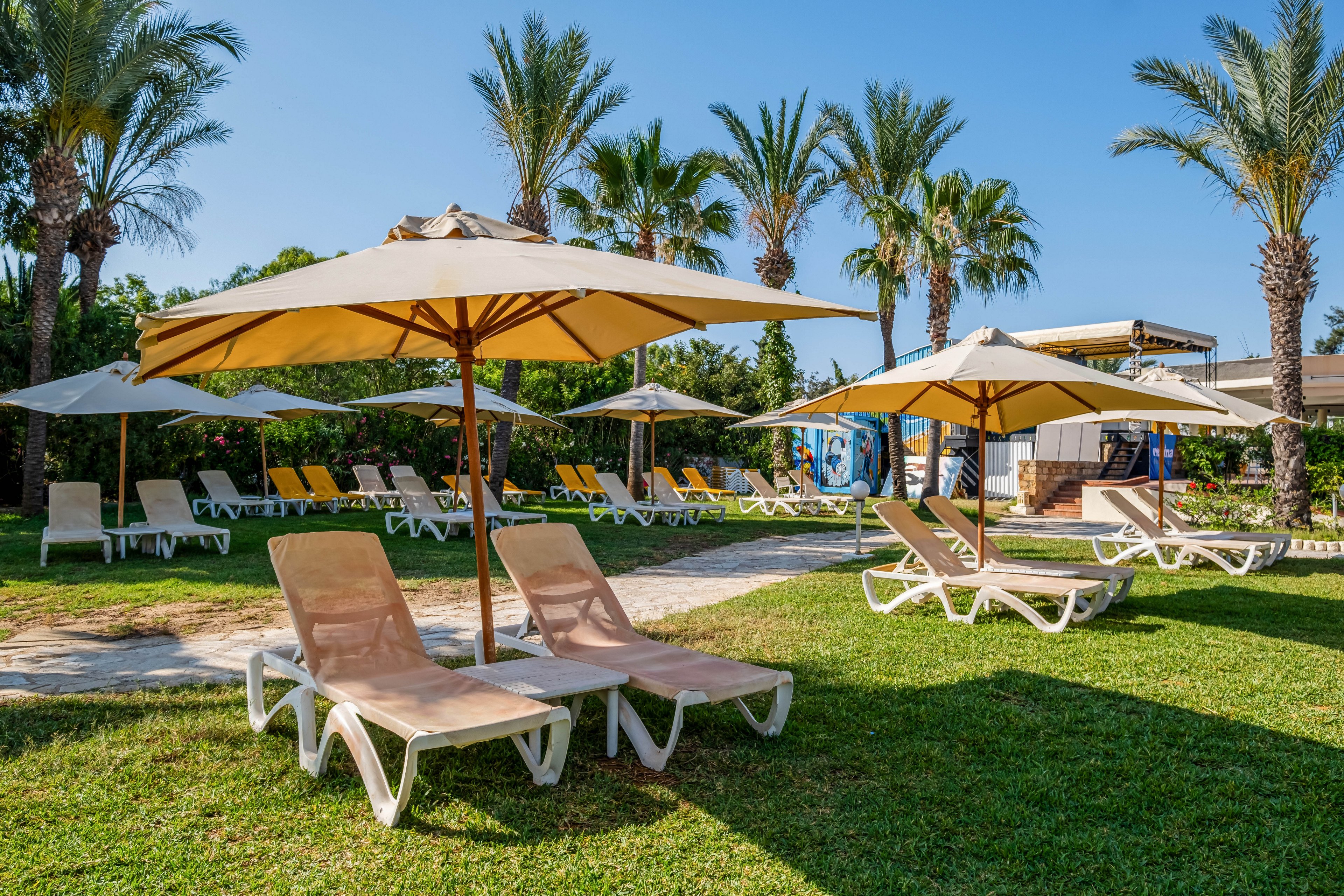 A row of empty sun loungers with beige cushions sits on a grassy area under large white umbrellas. The scene is part of an outdoor resort or hotel garden with additional loungers arranged in the background. Tall palm trees frame the space, and a clear blue sky suggests a warm, sunny day. The overall atmosphere is calm and inviting, ideal for relaxation by the pool or in a landscaped courtyard.