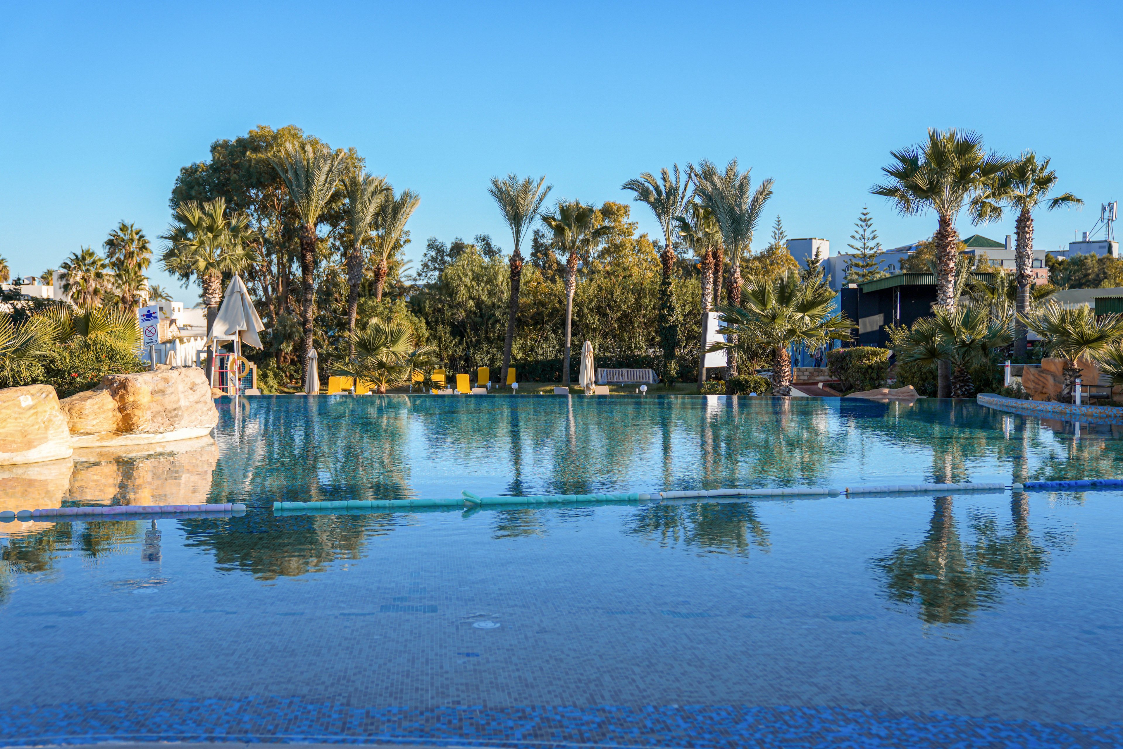 A large, calm swimming pool reflects palm trees and a clear blue sky at a tropical resort. Sun loungers and umbrellas line the far side of the pool, suggesting a relaxing vacation setting. Rock features and lush greenery frame the water, adding a natural, oasis-like feel. The bright morning light and clear weather create a serene and inviting atmosphere.