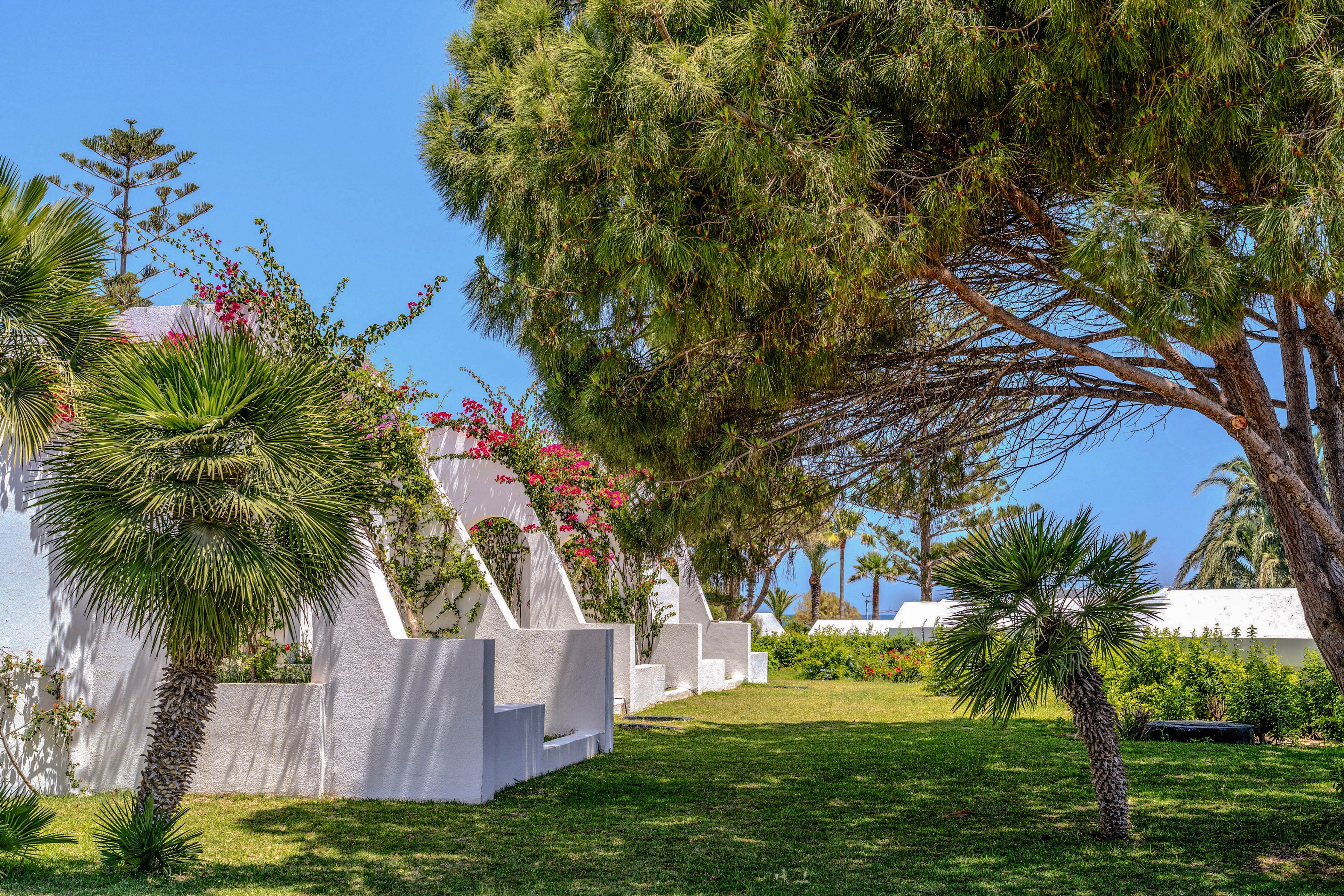 A lush garden with palm trees and flowering shrubs surrounds a row of white arched structures. Bright sunlight casts soft shadows on the manicured green lawn. Pink and red bougainvillea climb over the walls, adding vibrant color to the scene. The clear blue sky and distant trees create a tranquil, resort-like atmosphere.