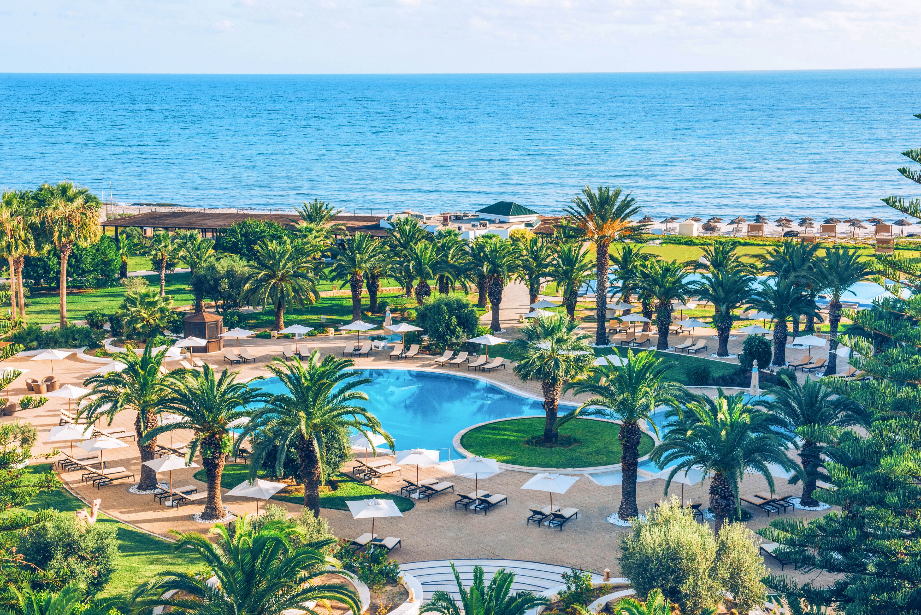 A luxurious seaside resort features a large curved swimming pool surrounded by tall palm trees and sun loungers. Neatly arranged umbrellas and lounge chairs line the grassy areas and poolside terraces. In the background, rows of beach umbrellas stretch along the sandy shore beside the calm blue sea. The bright daylight and clear sky create a relaxed, vacation atmosphere.