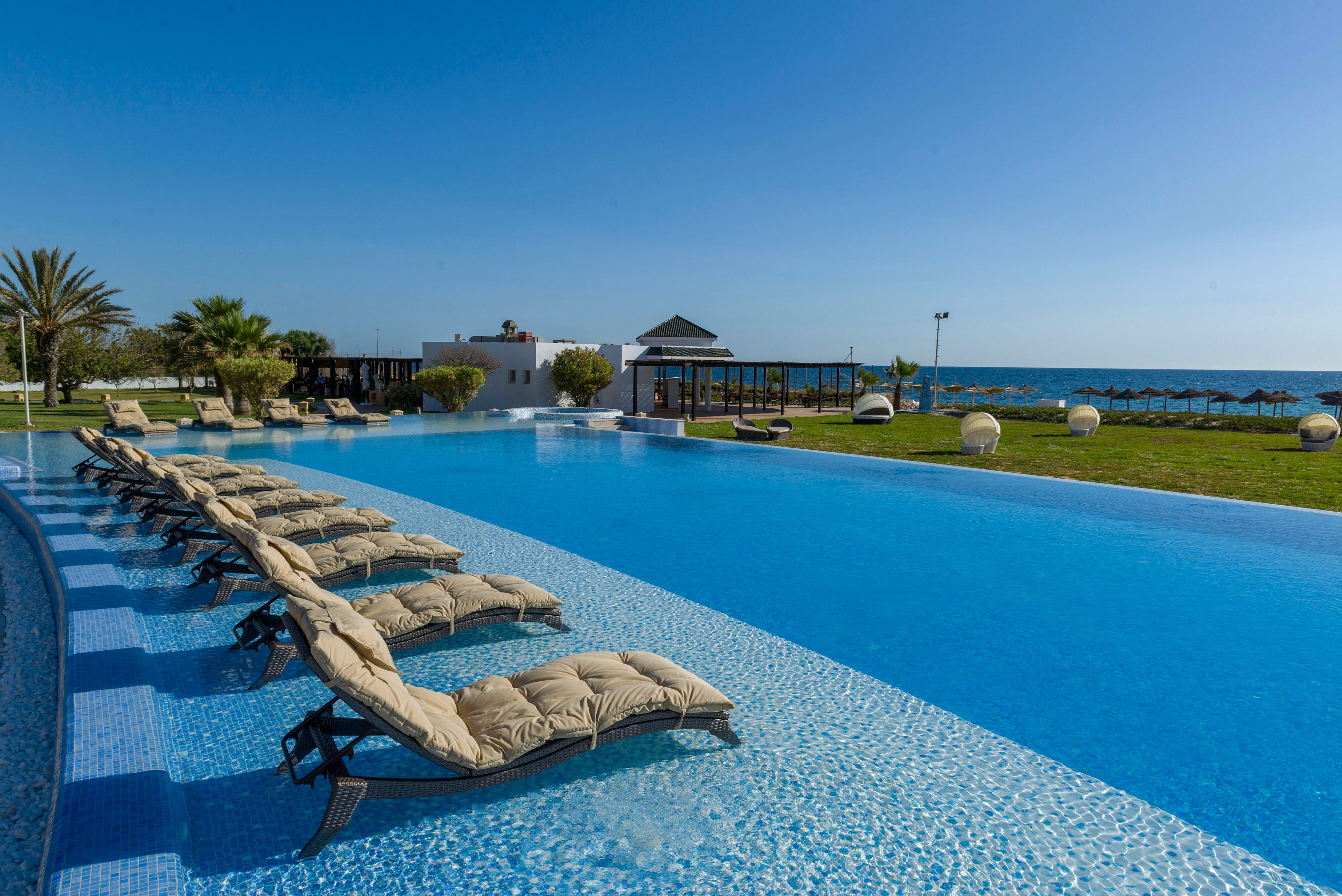 A row of cushioned sun loungers lines the edge of a large infinity pool under a clear blue sky. The pool sits beside a manicured green lawn with palm trees and modern resort buildings in the background. Beyond the property, the calm sea stretches to the horizon, enhancing the tranquil vacation atmosphere. The scene suggests a relaxing, upscale coastal getaway with ample outdoor space for sunbathing and swimming.