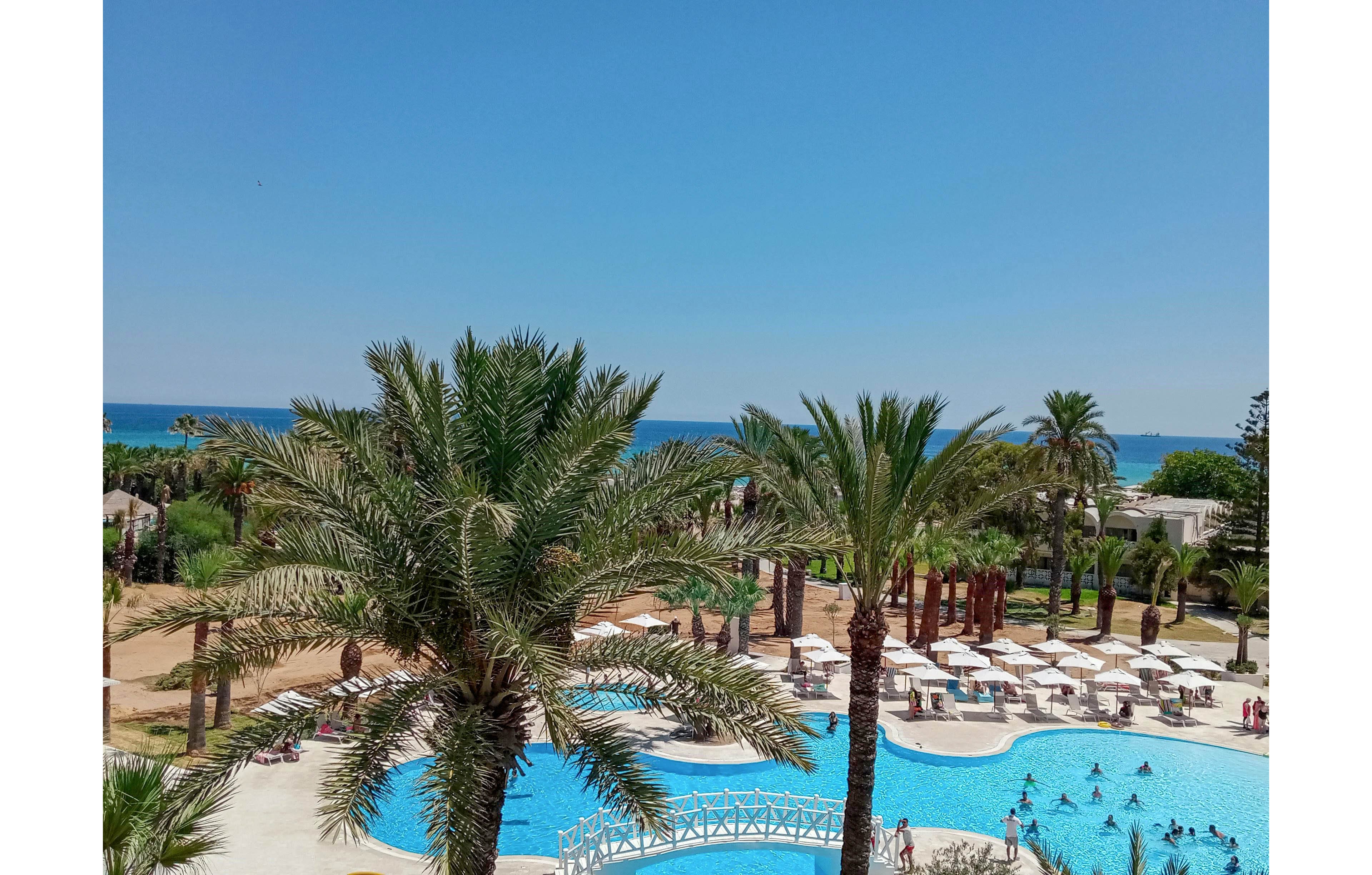 A large resort swimming pool is surrounded by tall palm trees and white sun umbrellas. Guests relax on lounge chairs and swim in the bright blue water under a clear sky. In the background, landscaped gardens lead toward the coastline and the sea. The overall scene suggests a sunny, tropical vacation destination.