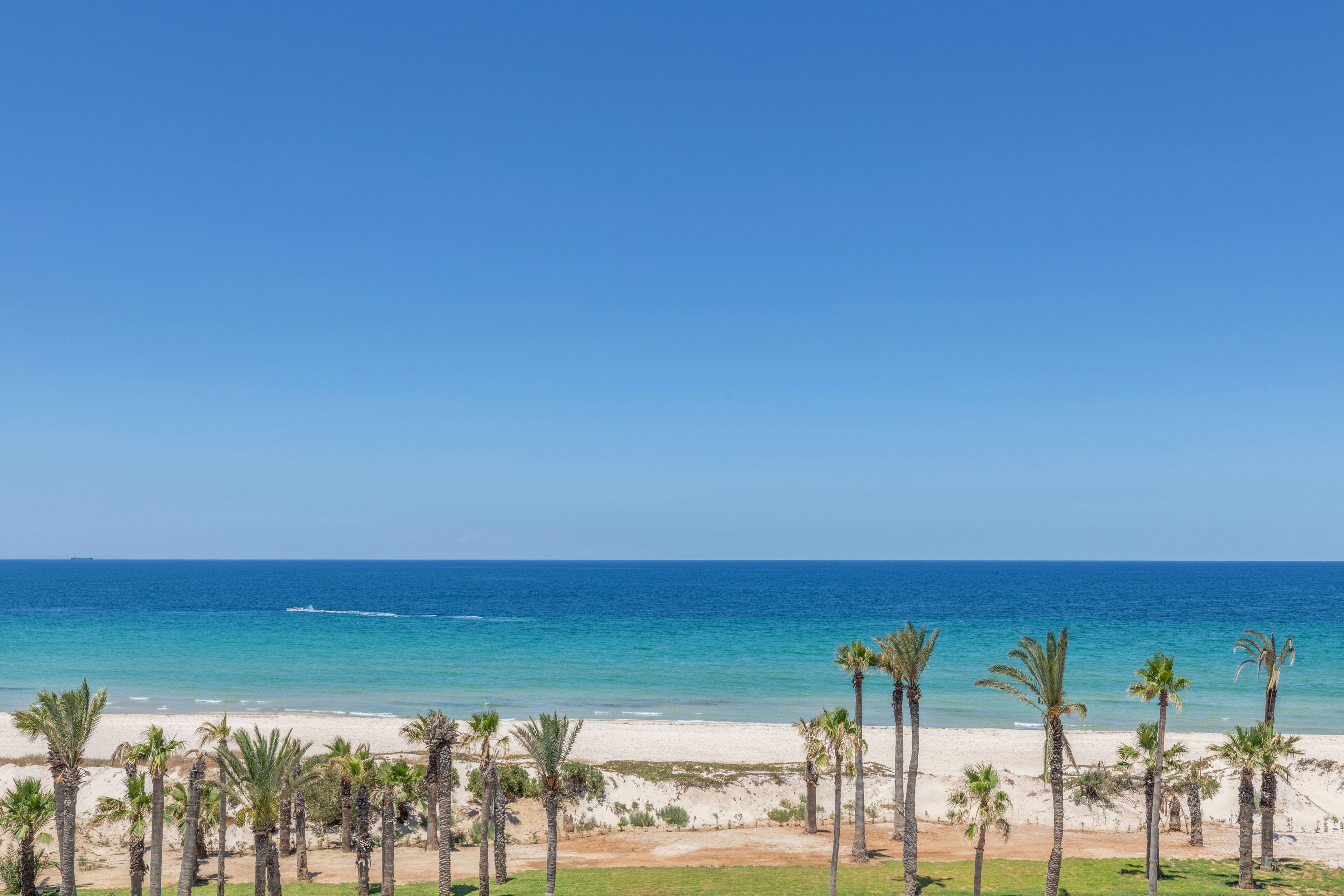 A tranquil tropical beach stretches along a clear blue sea under a cloudless sky. Tall palm trees line the sandy shoreline, creating a lush foreground against the turquoise water. A small boat leaves a white wake as it moves across the distant horizon. The scene feels bright, sunny, and peaceful, evoking a relaxed vacation atmosphere.