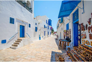 Hammamet Medina