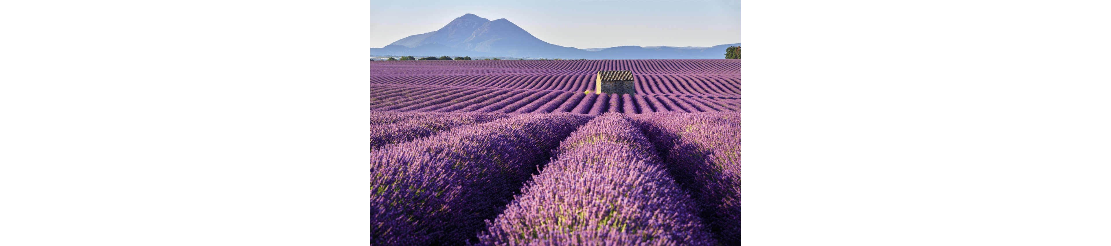 Verdon Parc - EUROCAMP