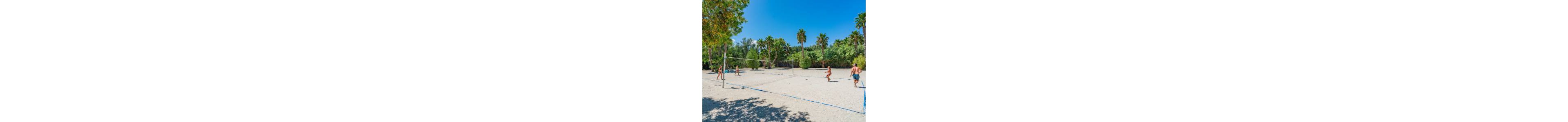 A group of adults play beach volleyball on a sandy court surrounded by lush greenery. Tall palm trees and dense bushes frame the scene under a clear blue sky. The players wear swimwear, suggesting a warm, resort-like environment. The bright sunlight and open space create a relaxed, summery atmosphere.
