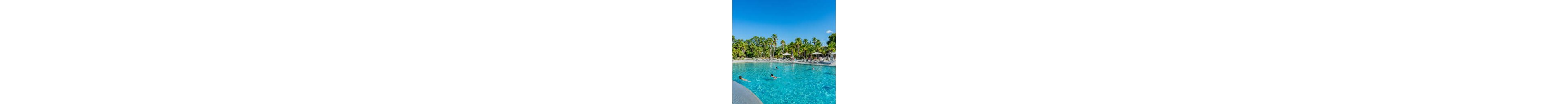A large outdoor swimming pool sparkles under a clear blue sky. Several people relax and swim in the turquoise water, enjoying the sunny weather. Palm trees and lush greenery surround the pool, creating a tropical resort atmosphere. Sun loungers and umbrellas line the poolside, suggesting a leisurely vacation setting.