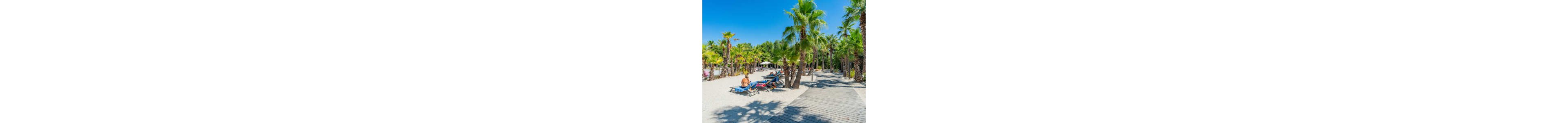 A sunny tropical-style beach features numerous palm trees and white sand. People relax on lounge chairs under the bright blue sky, enjoying a warm day. A wooden boardwalk runs alongside the sand, leading through the palm grove. The scene conveys a peaceful vacation atmosphere in a resort-like setting.