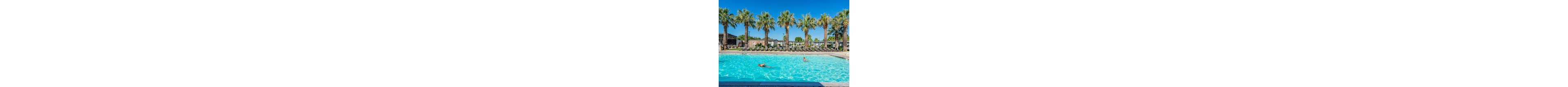 A large outdoor swimming pool is set in front of a row of tall palm trees at a sunny resort. Two people relax in the clear blue water while lounge chairs line the poolside deck in the background. The sky is bright and cloudless, emphasizing the warm, vacation atmosphere. Modern low-rise buildings and cabanas frame the leisure area, suggesting a holiday or hotel setting.