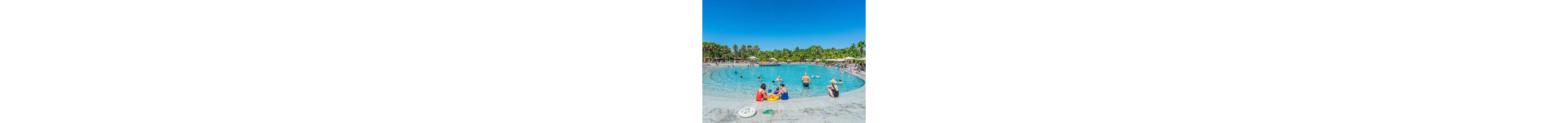A large outdoor resort swimming pool is filled with people relaxing and playing in the water. Families and children sit and stand near the pool edge, some with inflatable float rings and toys. Palm trees and green foliage surround the pool area, with sun loungers and umbrellas visible in the background. The bright blue sky and clear water create a vibrant, summery vacation atmosphere.