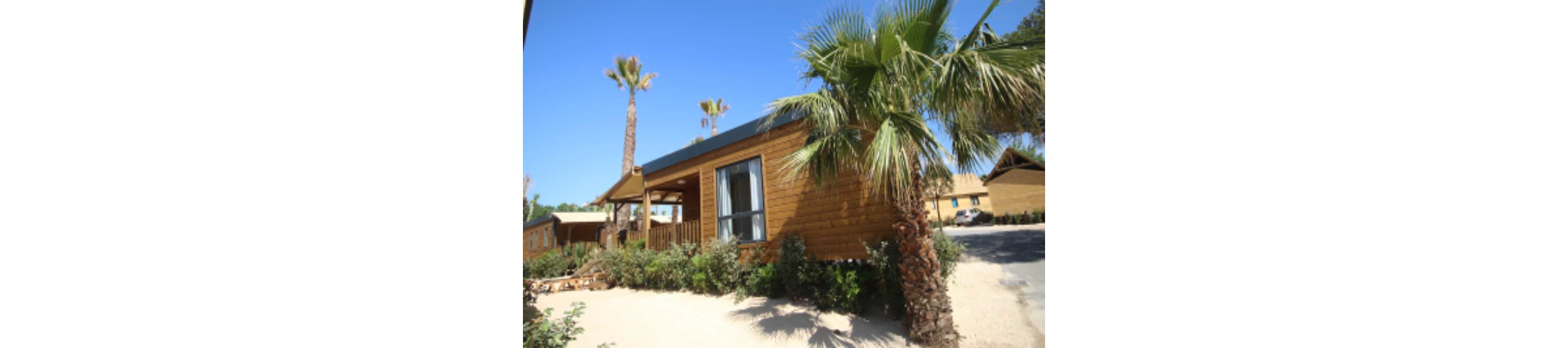 A wooden cabin stands in a sunny vacation resort. The structure features a small porch, large window, and light-colored siding surrounded by shrubs. Tall palm trees rise around the cabin, emphasizing a warm, coastal or Mediterranean climate. Other similar cabins and a paved path are visible in the background under a clear blue sky.