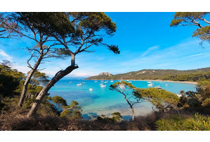 Porquerolles Island