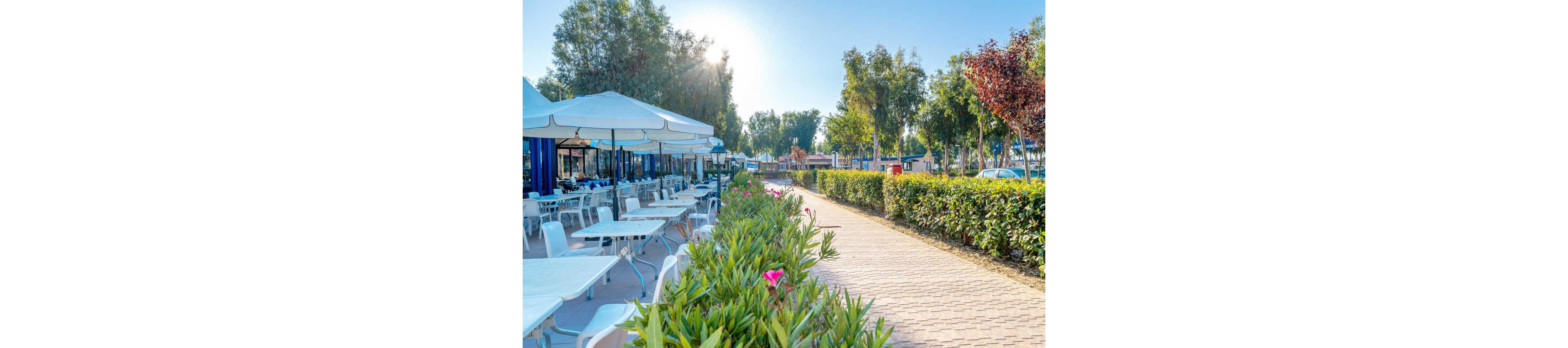 An outdoor café terrace features rows of empty white tables and chairs under large sun umbrellas. A paved walkway runs alongside neatly trimmed hedges and flowering plants with bright pink blossoms. Tall trees provide partial shade while the sun shines through a clear blue sky, creating a warm and inviting atmosphere. The scene suggests a quiet moment before guests arrive at this open-air dining area.