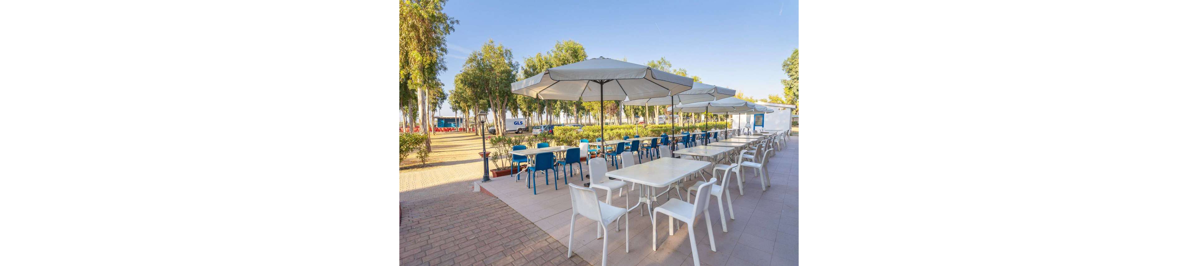 An outdoor cafe terrace features rows of empty white and blue tables and chairs under large sun umbrellas. The seating area is set on a tiled patio next to a landscaped park with trees and hedges. Bright daylight and clear blue skies create a relaxed, inviting atmosphere. The scene suggests a quiet moment before guests arrive at the open-air dining space.